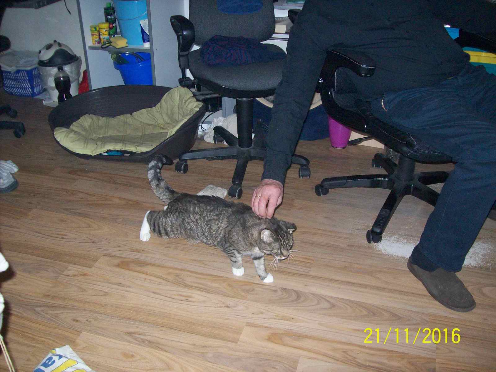 100_1414.JPG