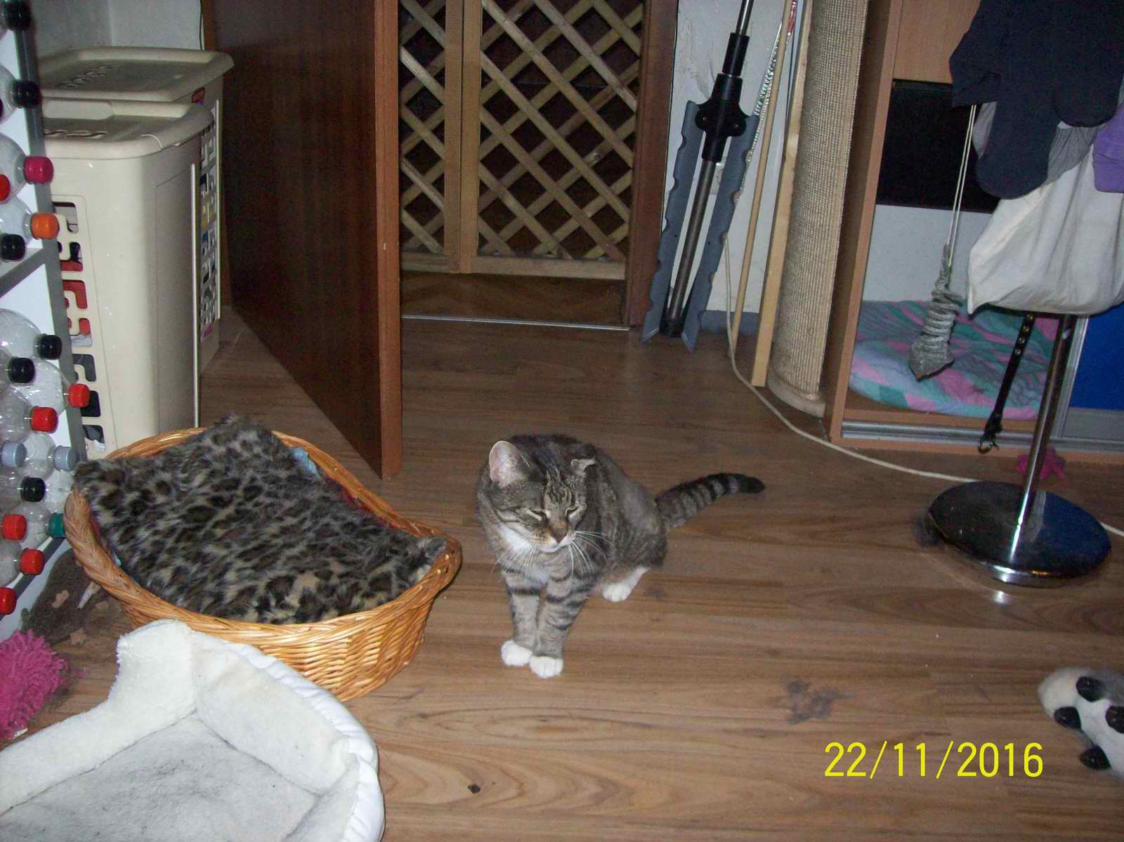 100_1420.JPG