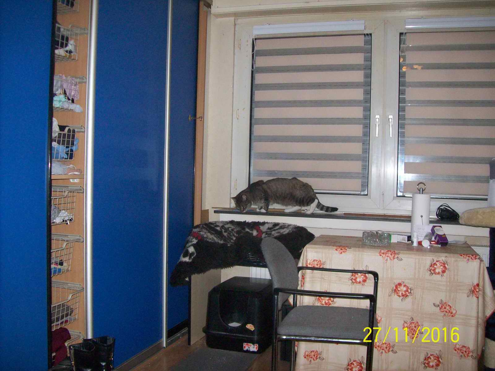 100_1429.JPG