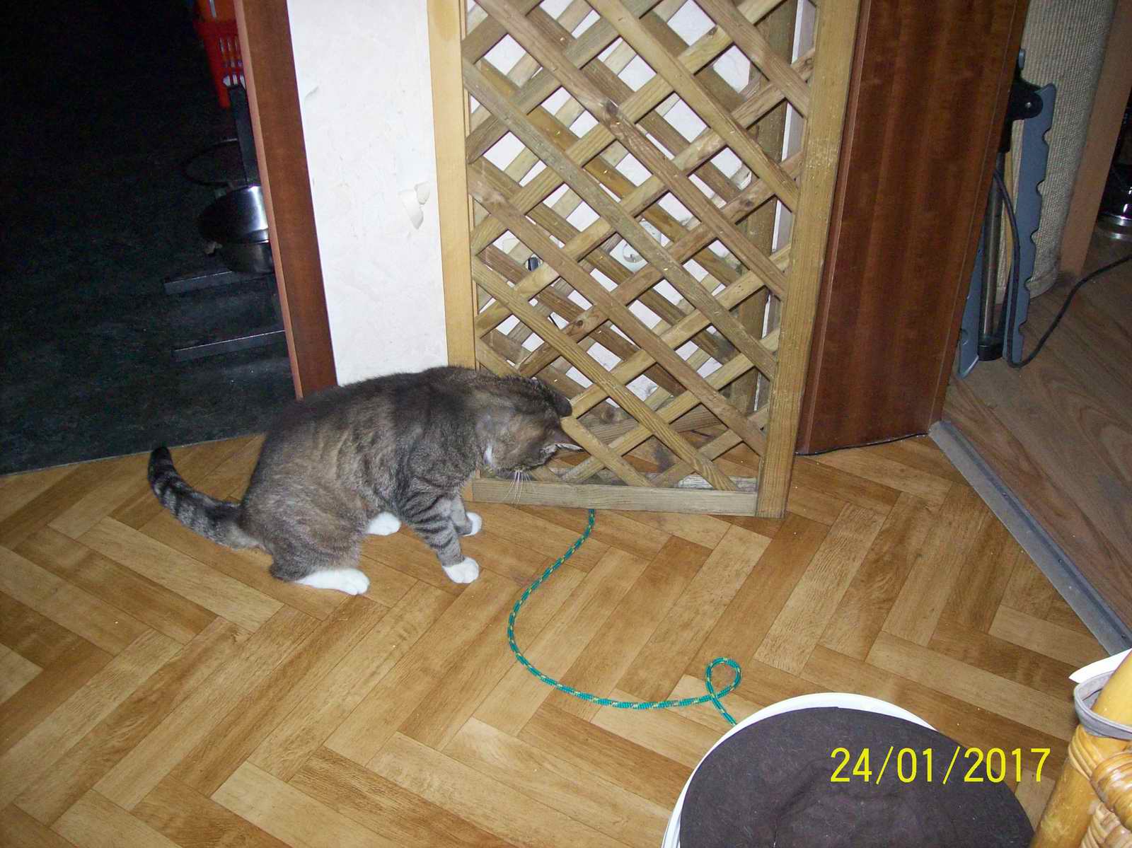 100_1440.JPG
