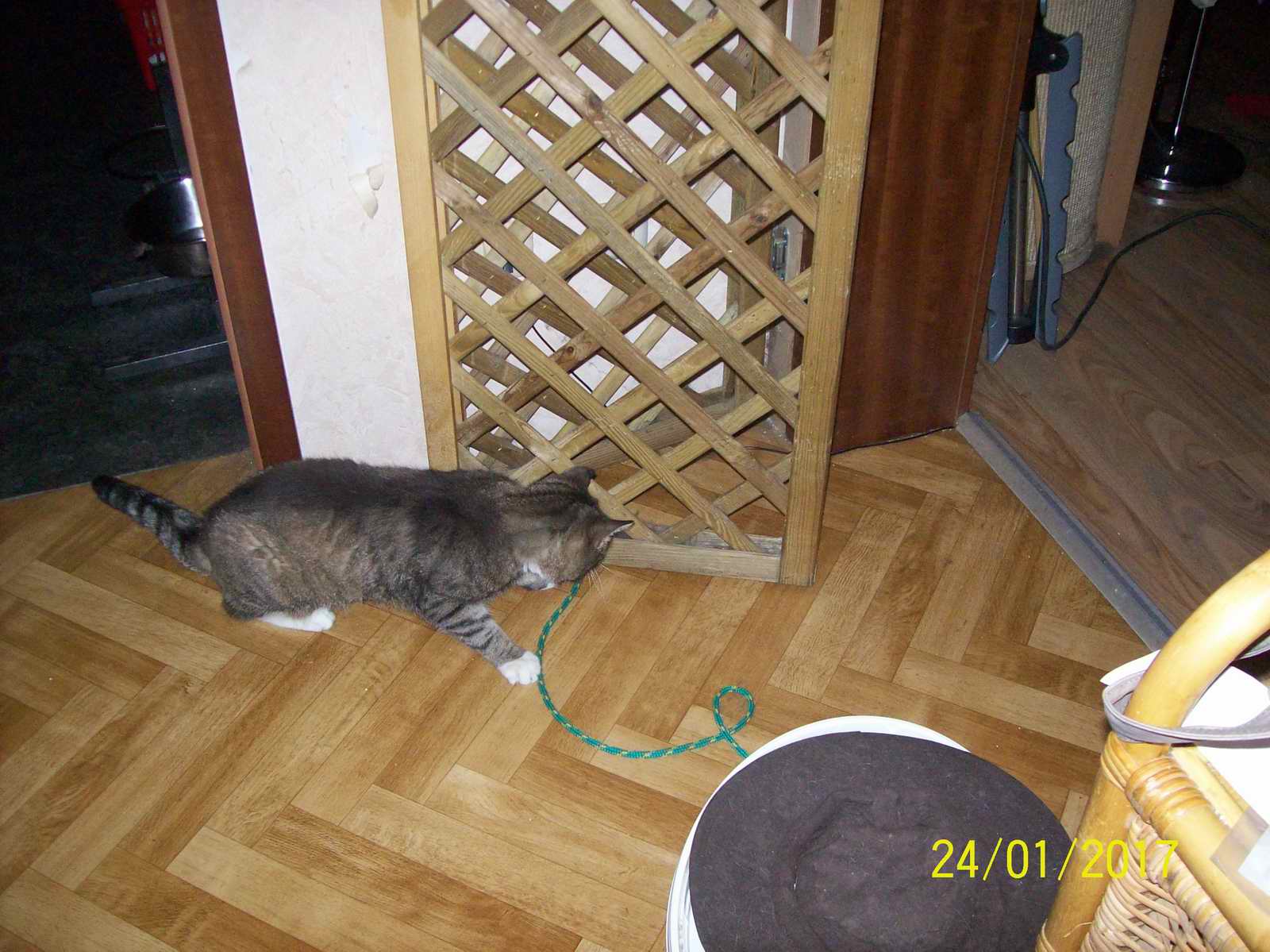 100_1441.JPG
