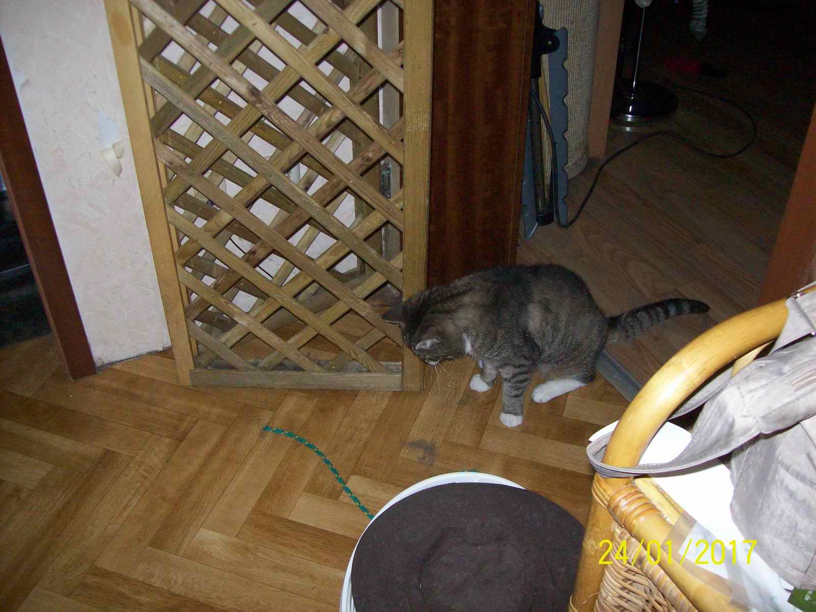100_1442.JPG