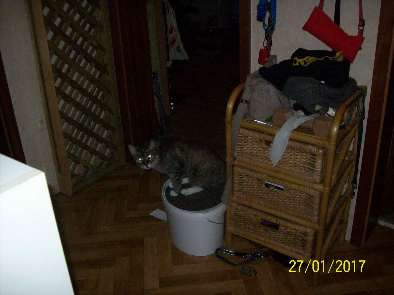100_1445.JPG