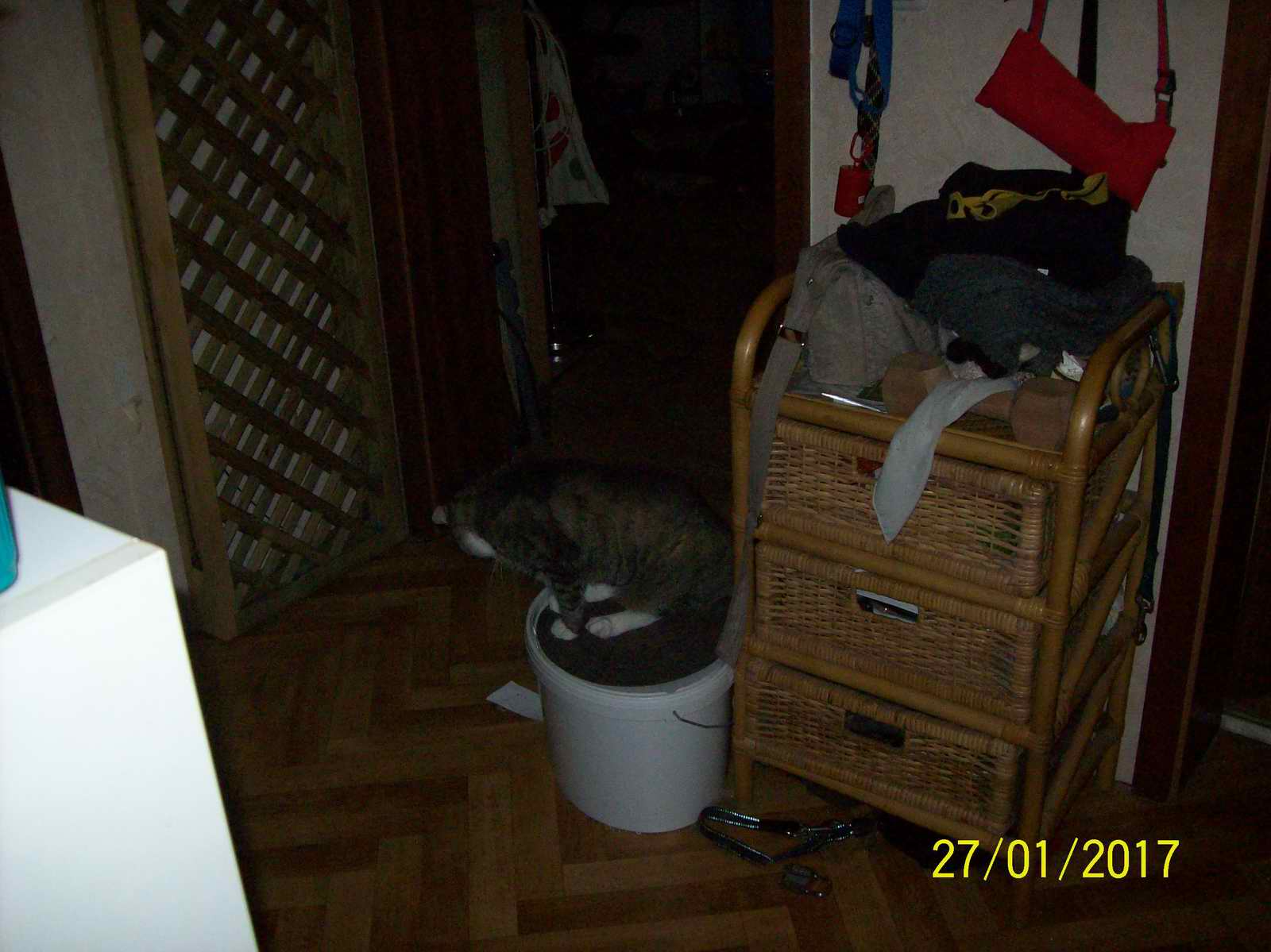 100_1446.JPG
