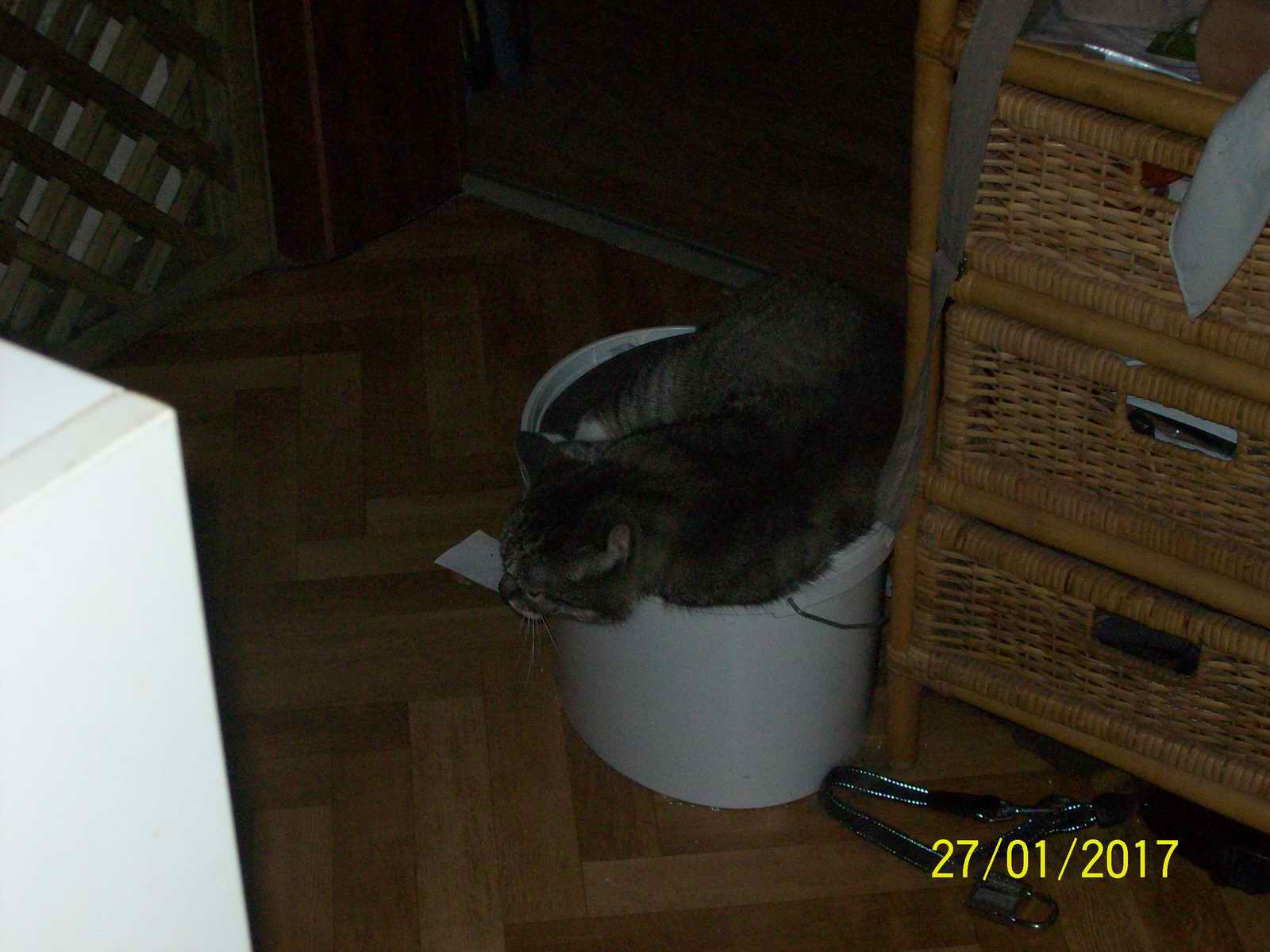 100_1448.JPG