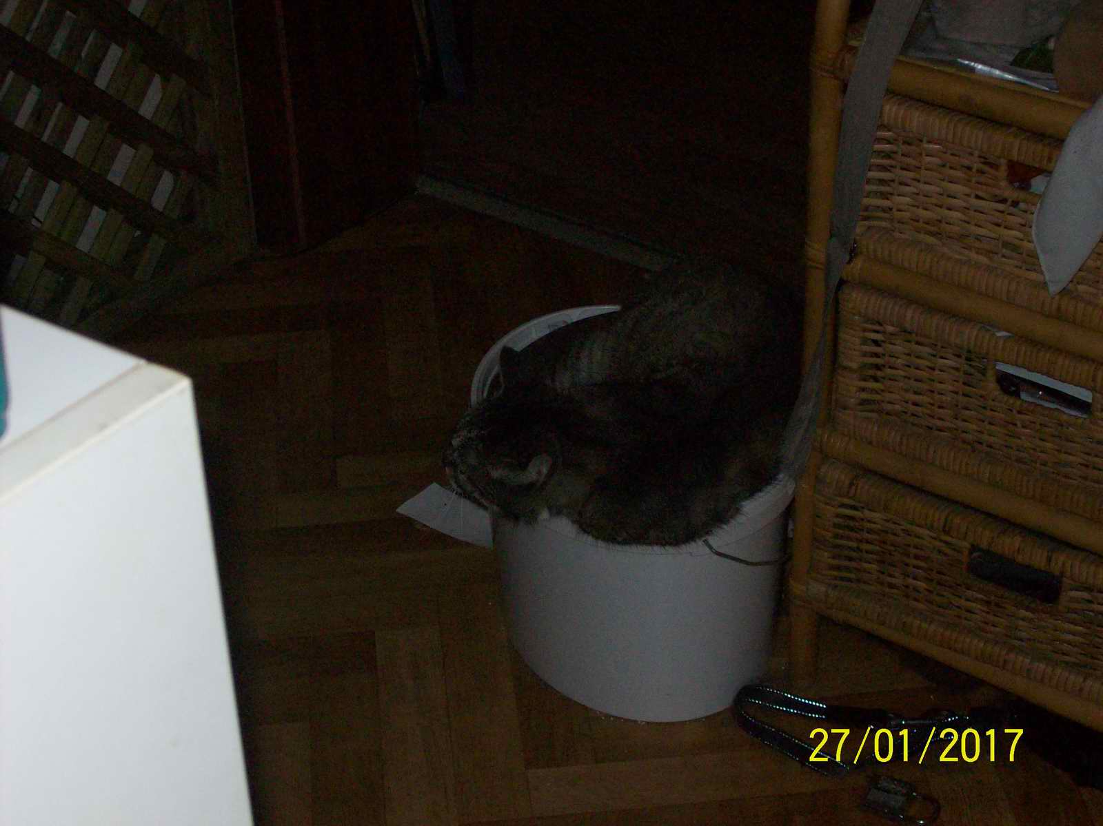 100_1449.JPG