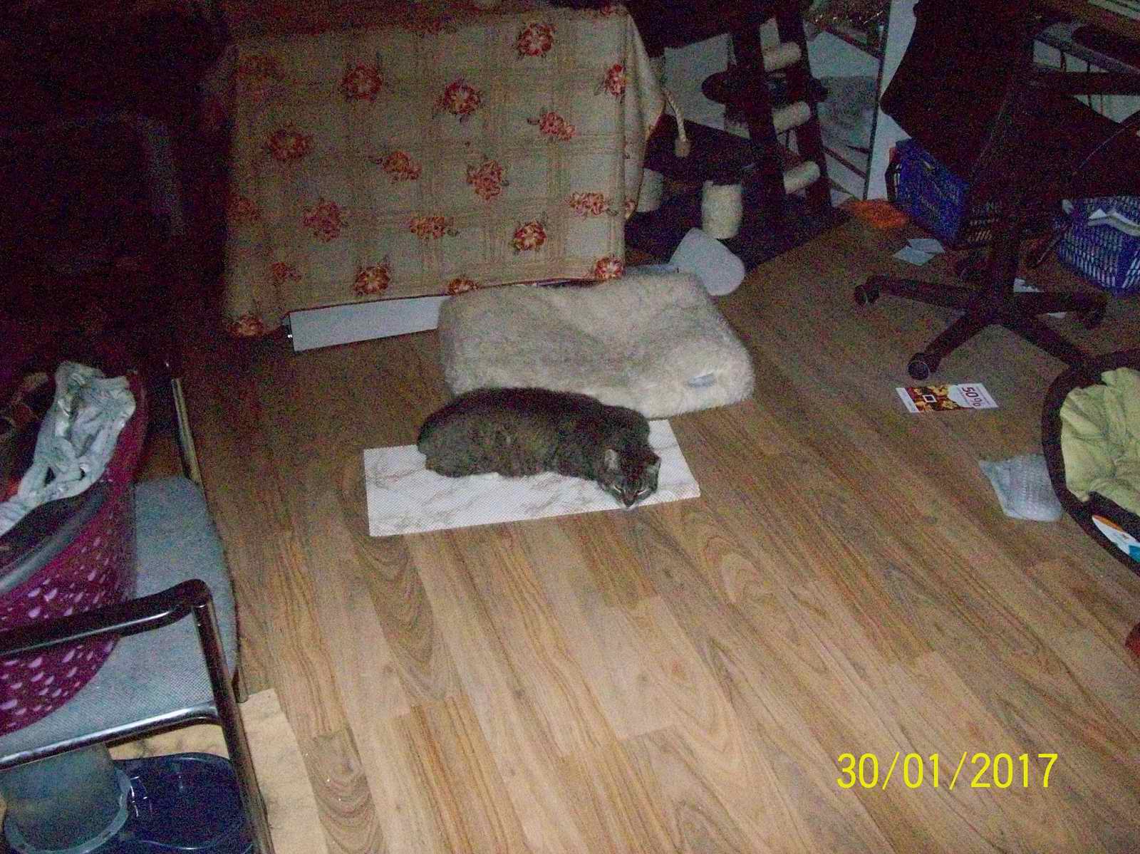 100_1454.JPG