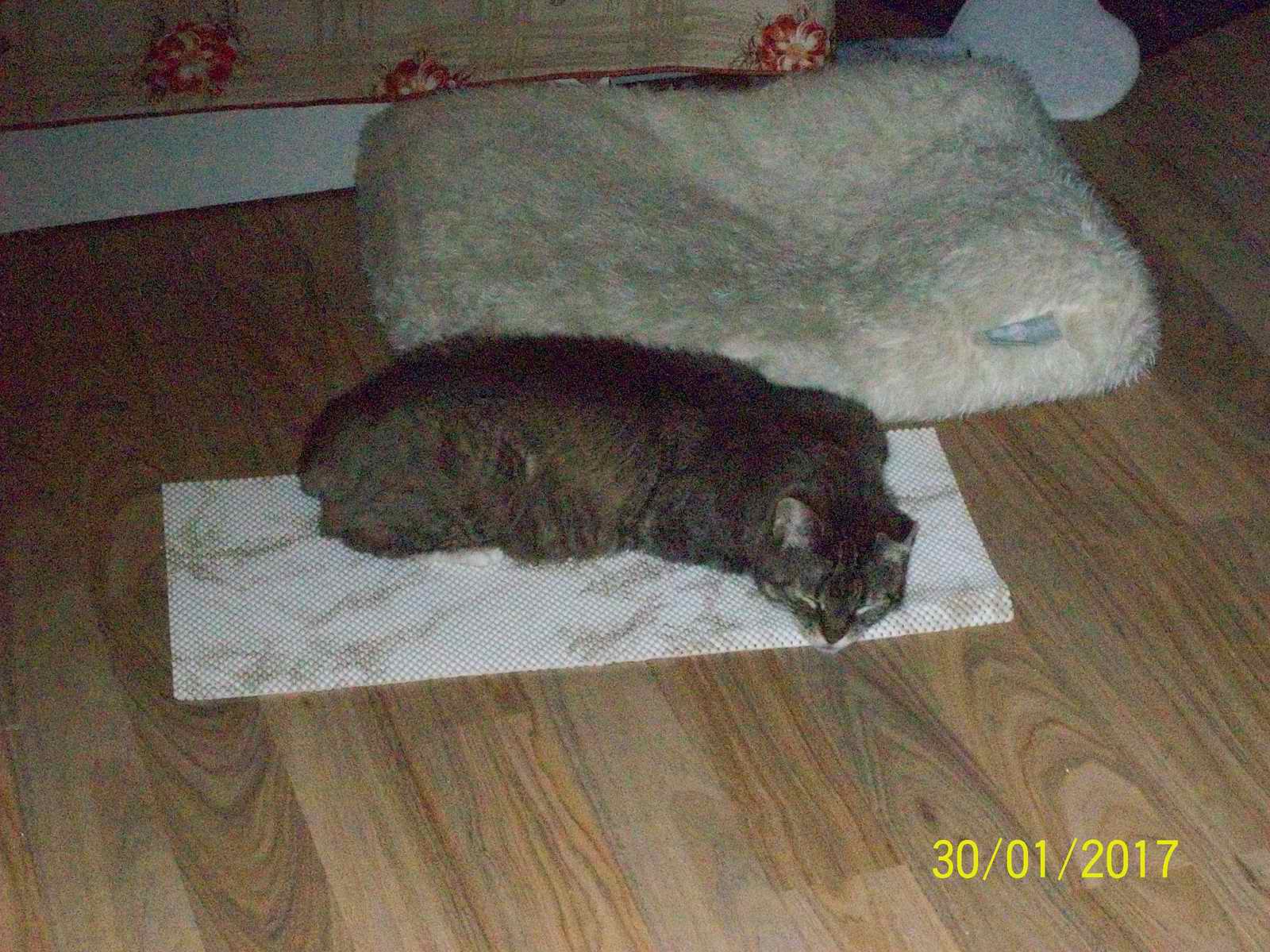 100_1456.JPG
