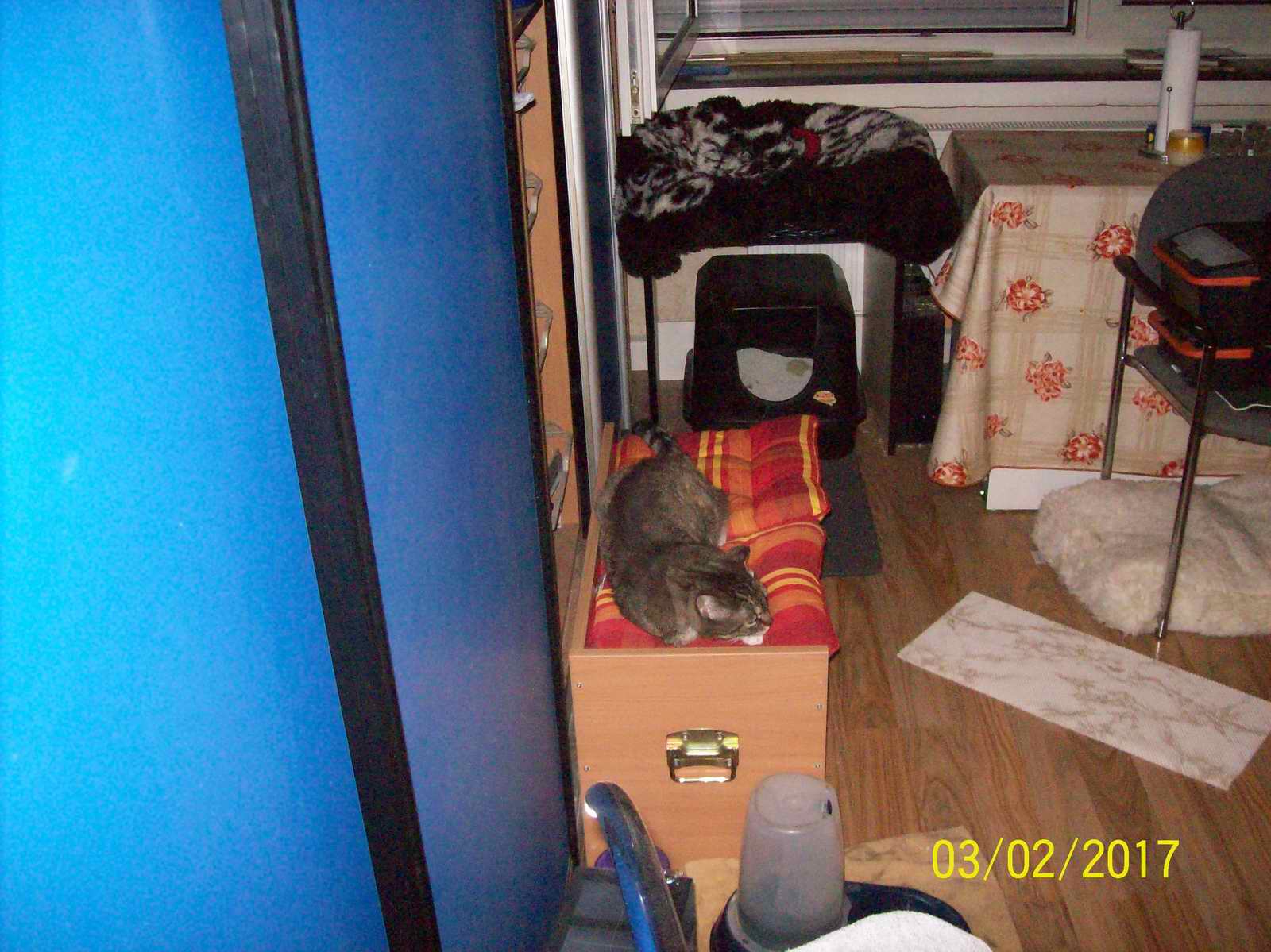 100_1457.JPG