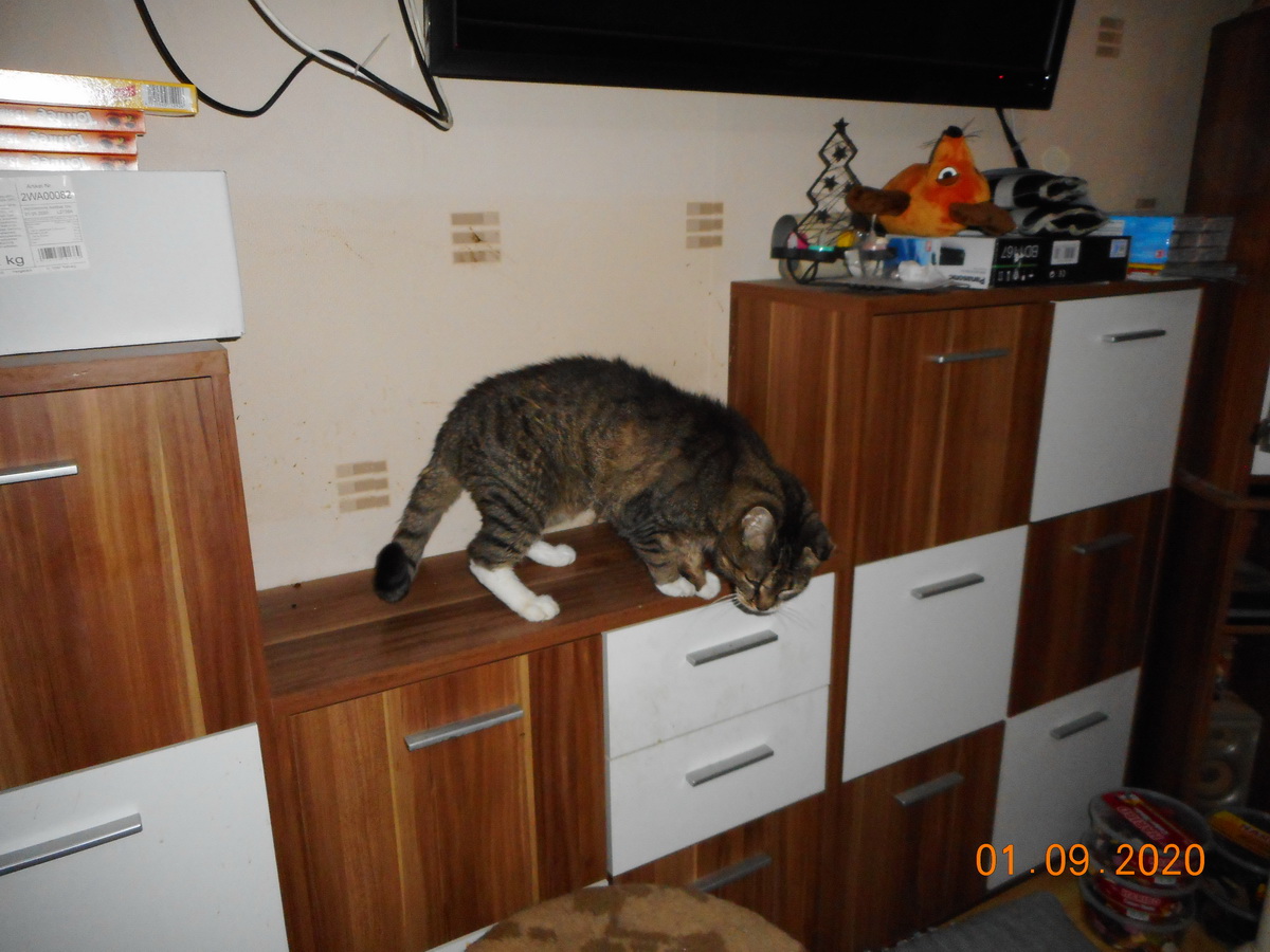 DSCN0296.JPG