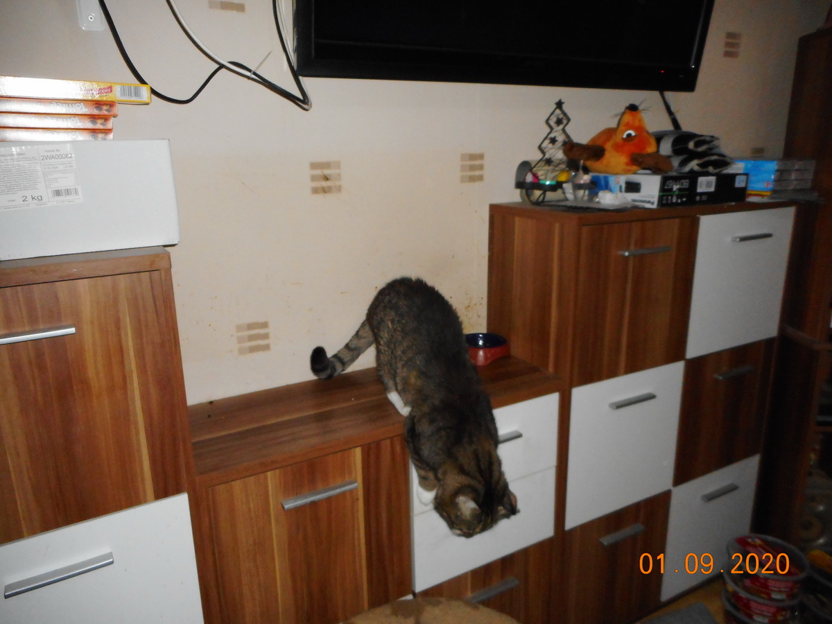 DSCN0297.JPG