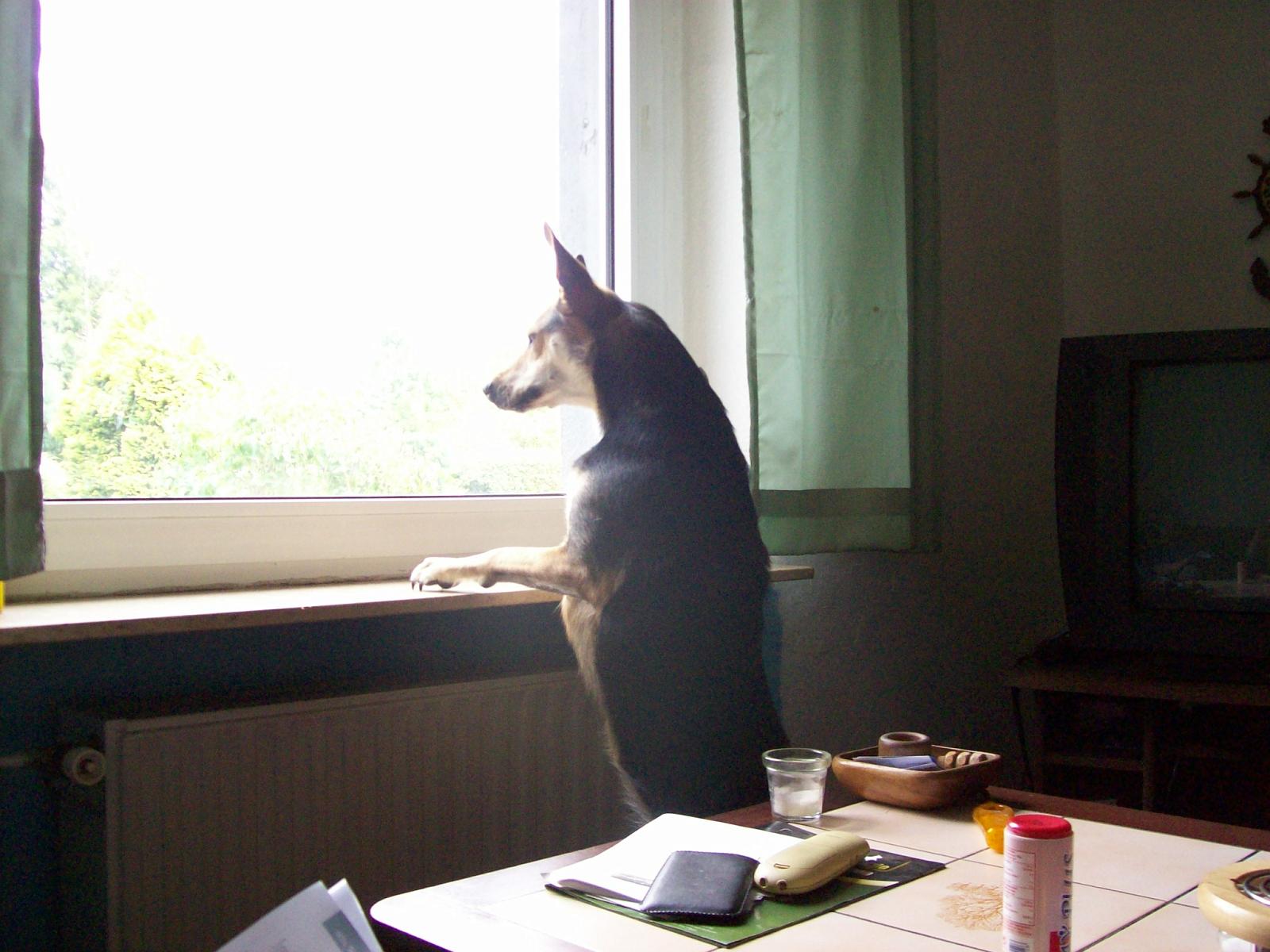 Shari011.jpg