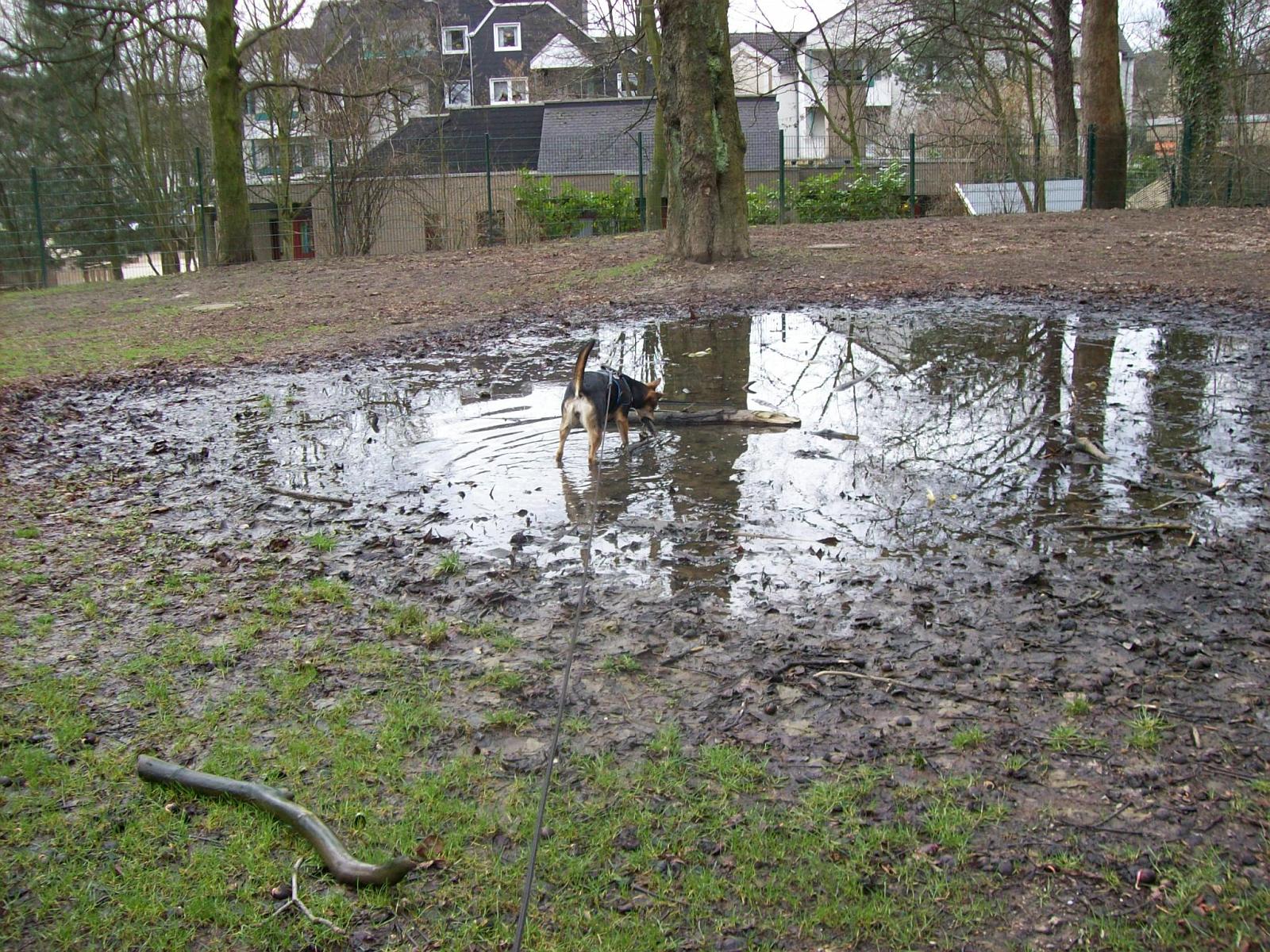 Shari017.jpg