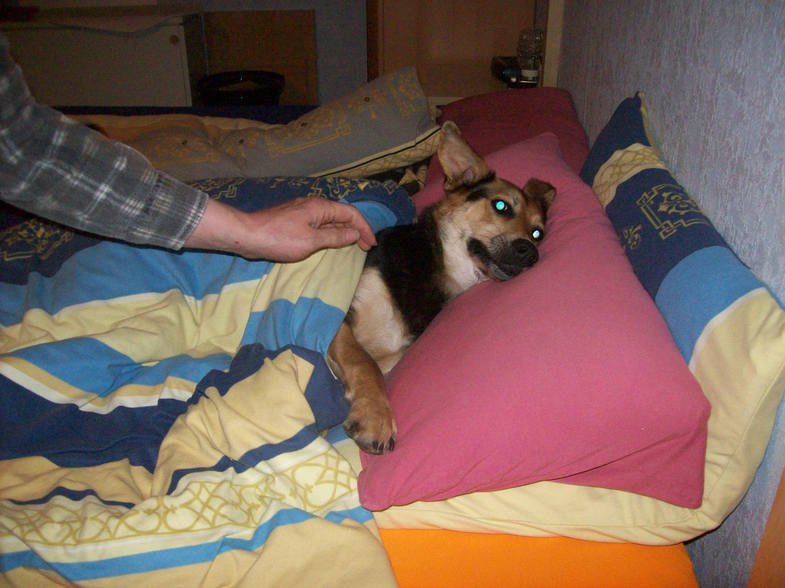 Shari025.jpg