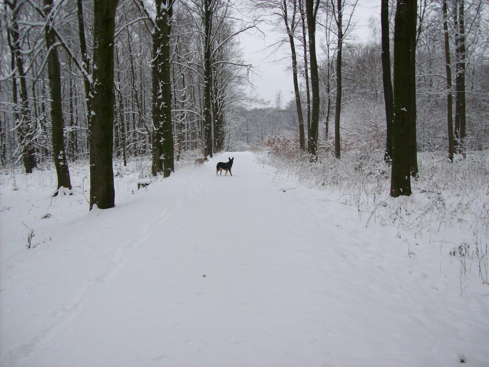 Shari049.jpg