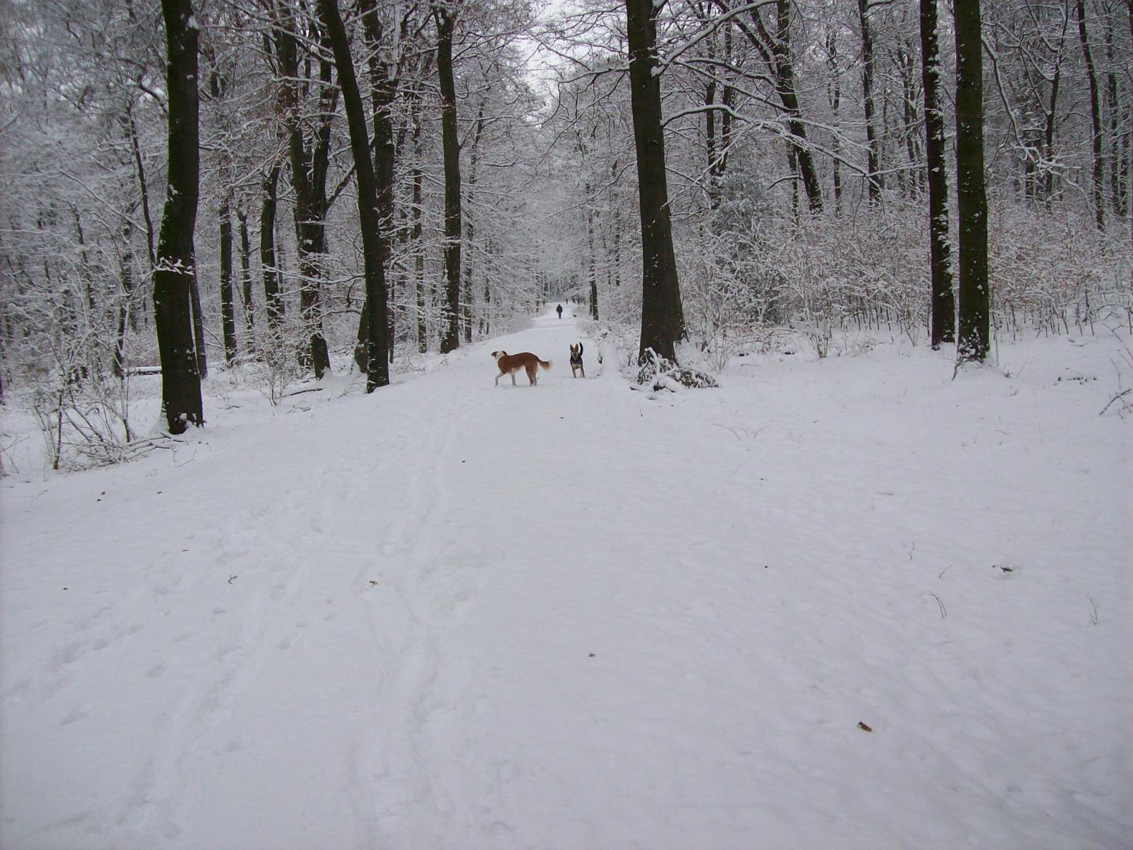 Shari057.jpg