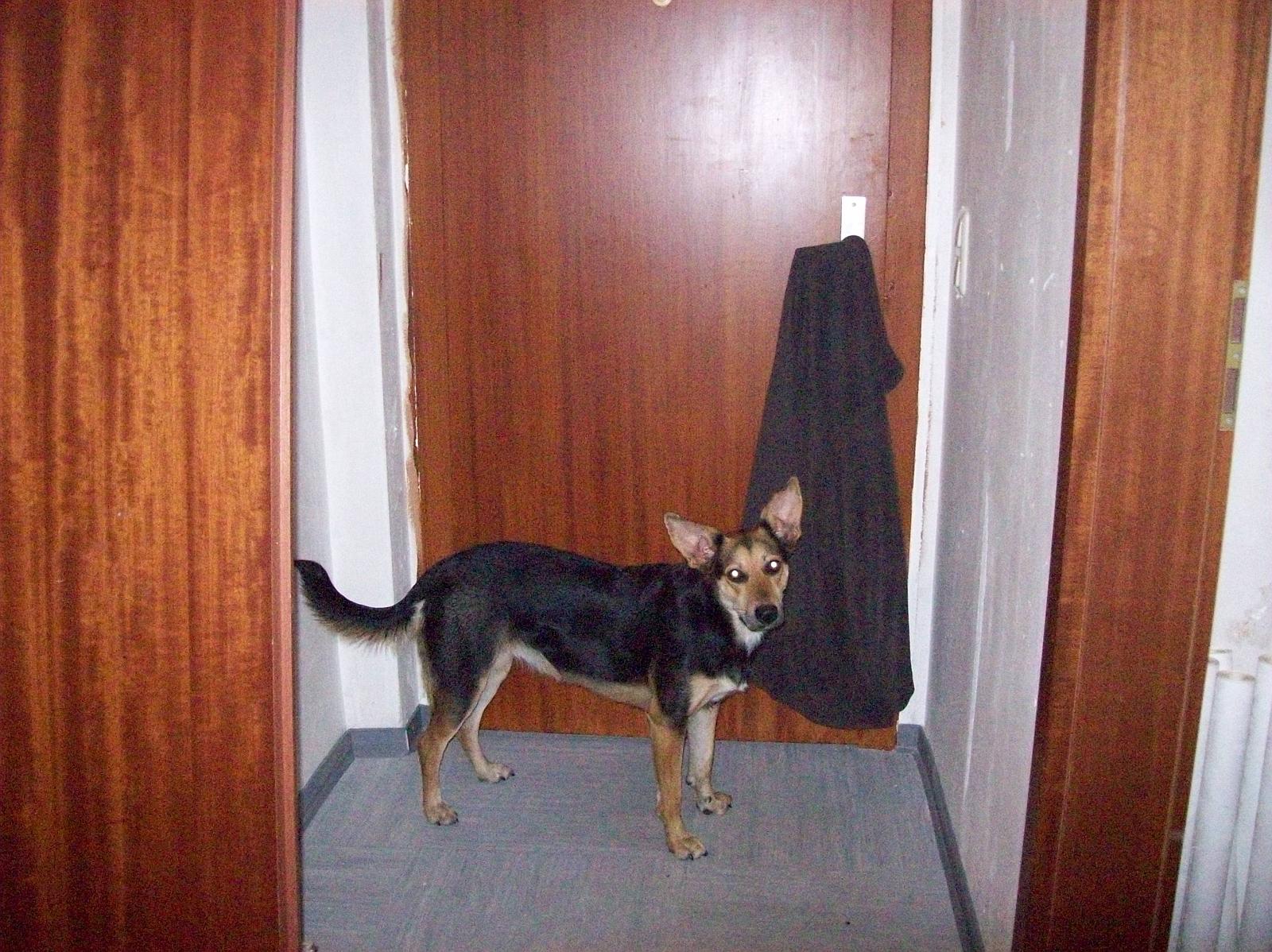 Shari068.jpg