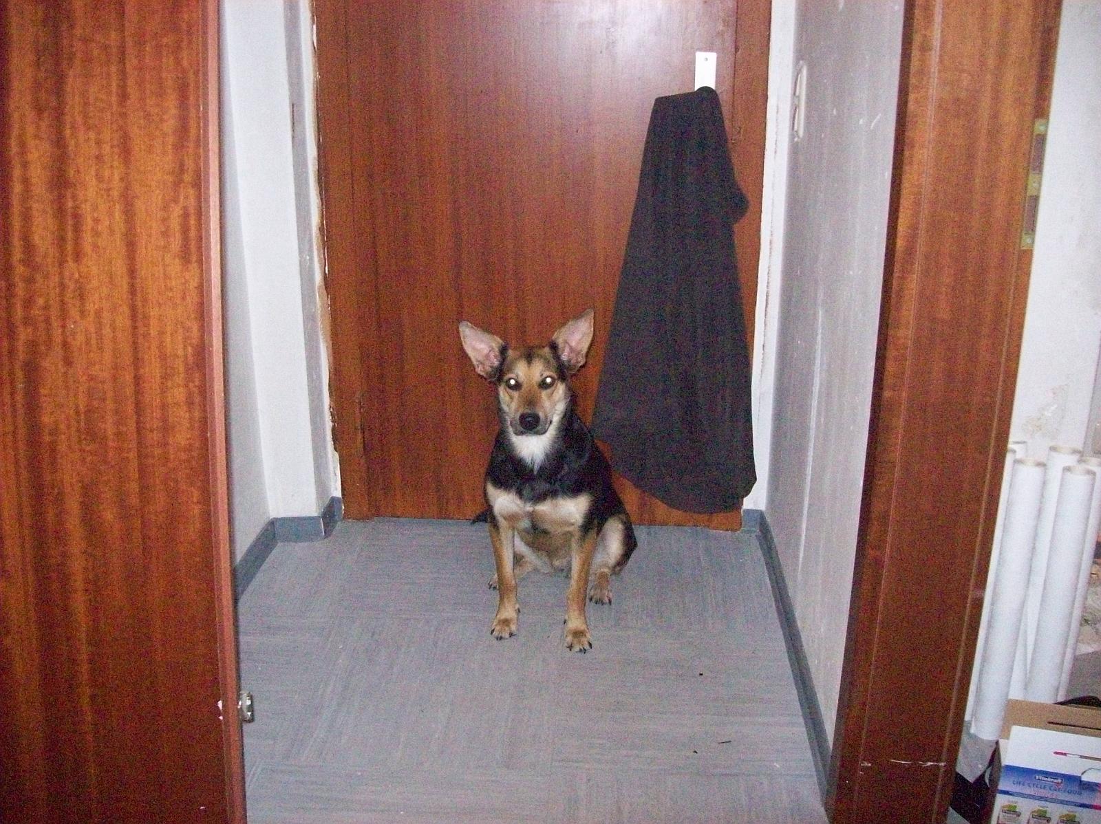 Shari069.jpg