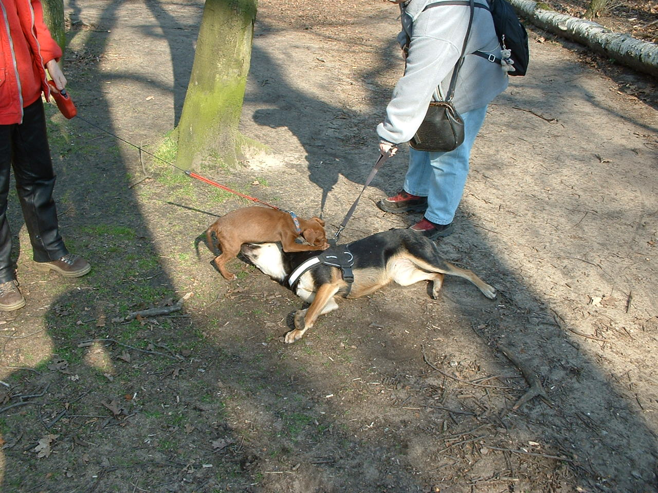Shari082.jpg