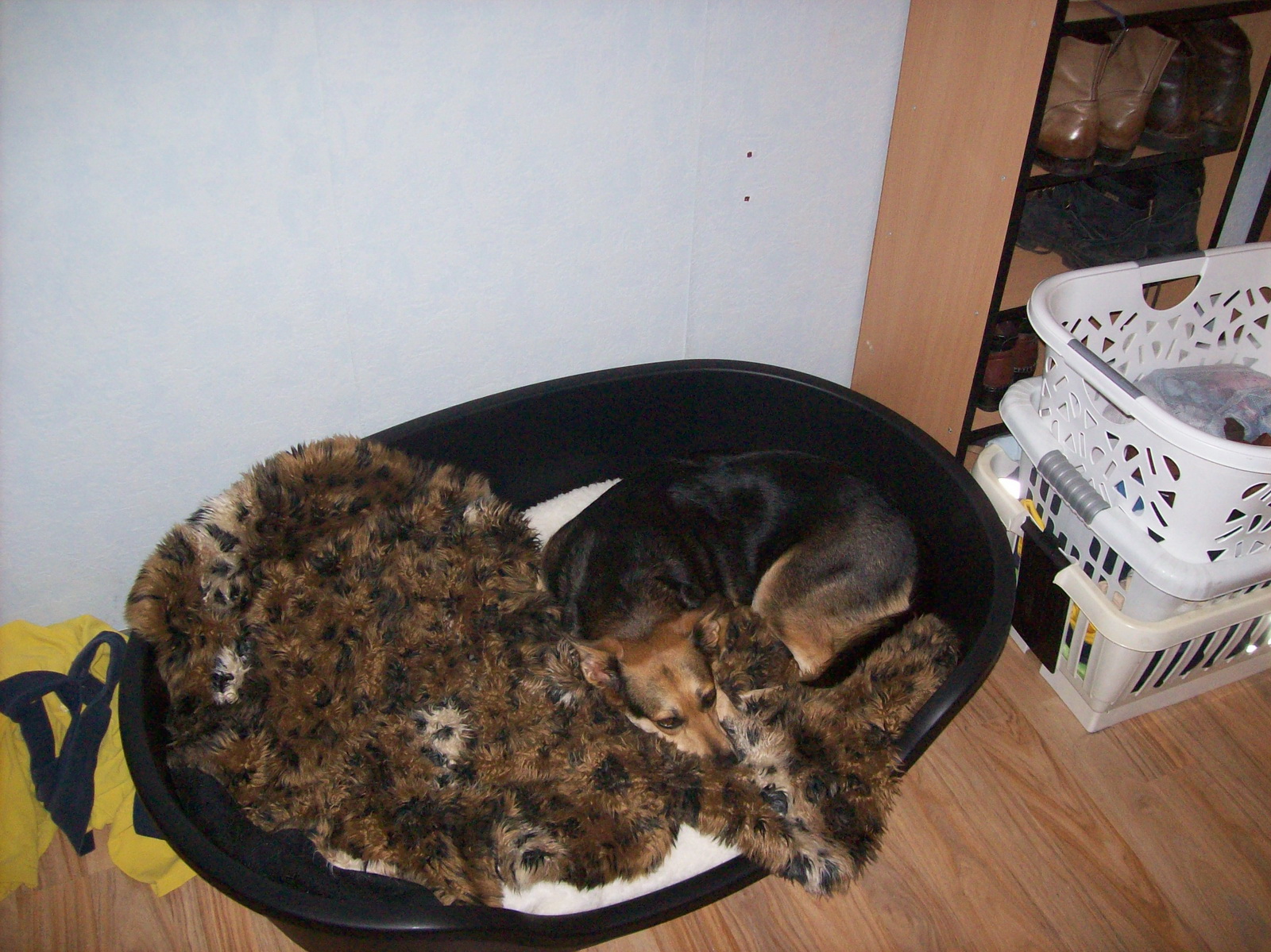 100_1170.JPG