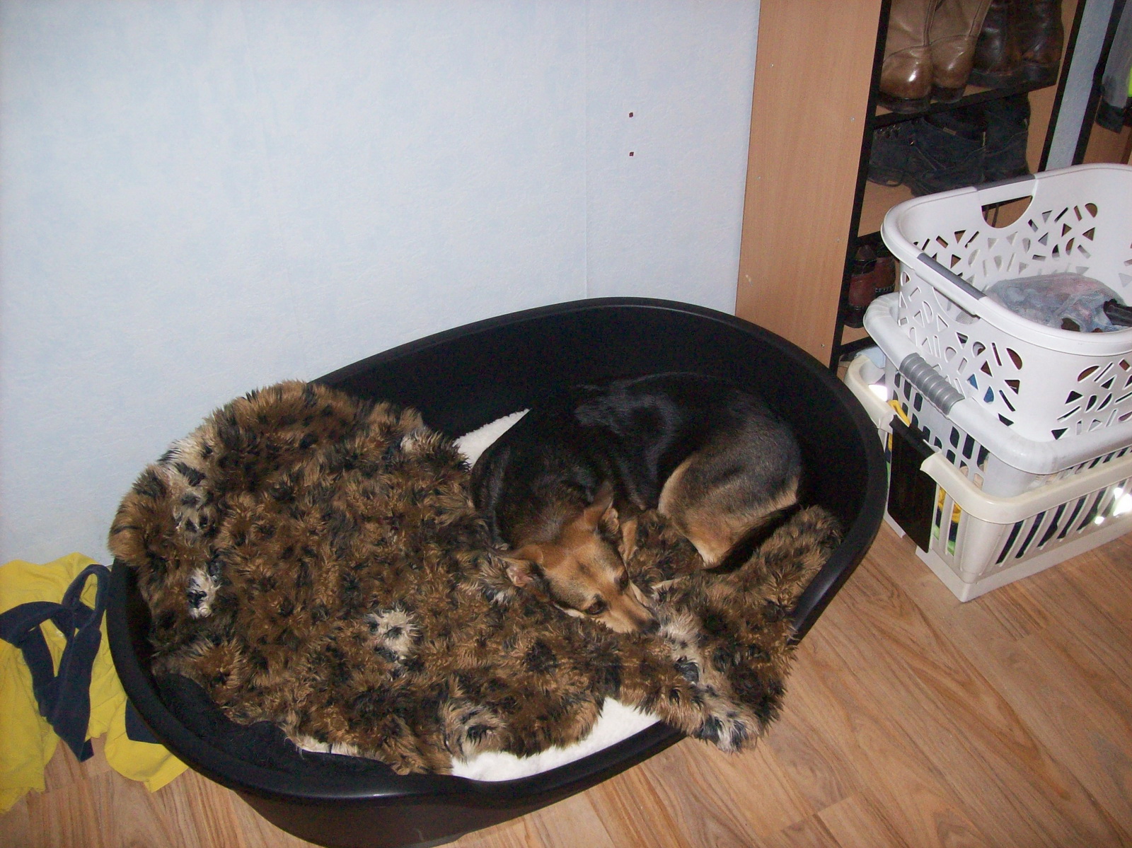 100_1174.JPG