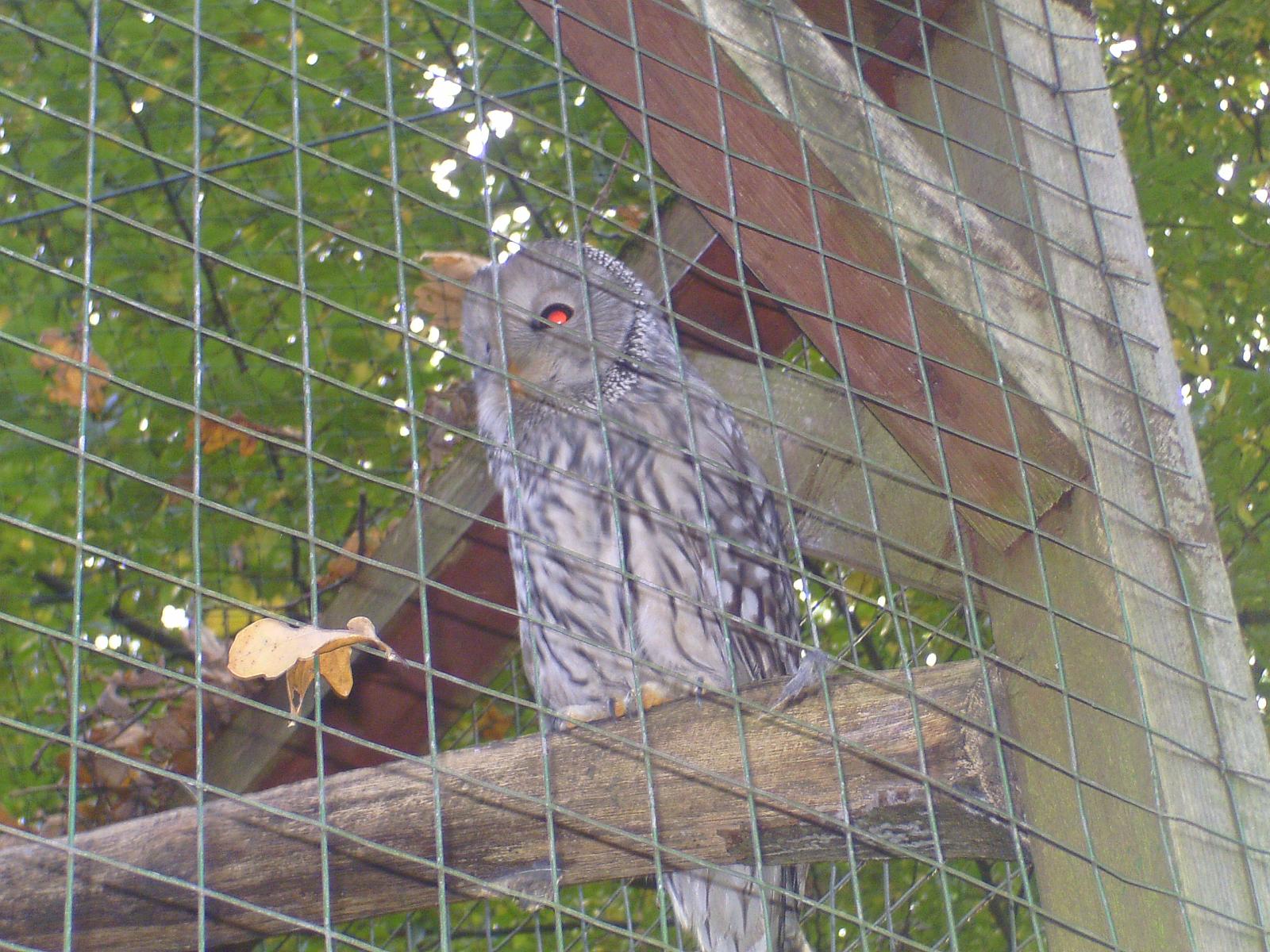 Frankenhof009.jpg