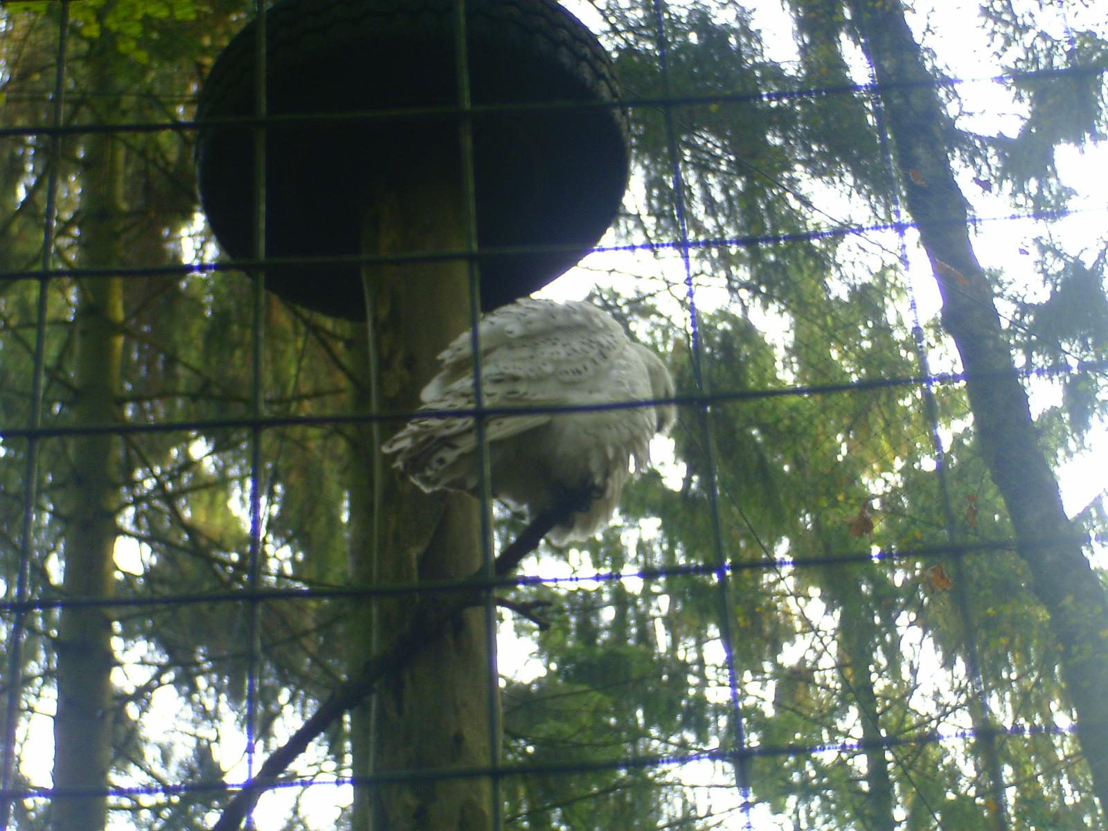 Frankenhof010.jpg