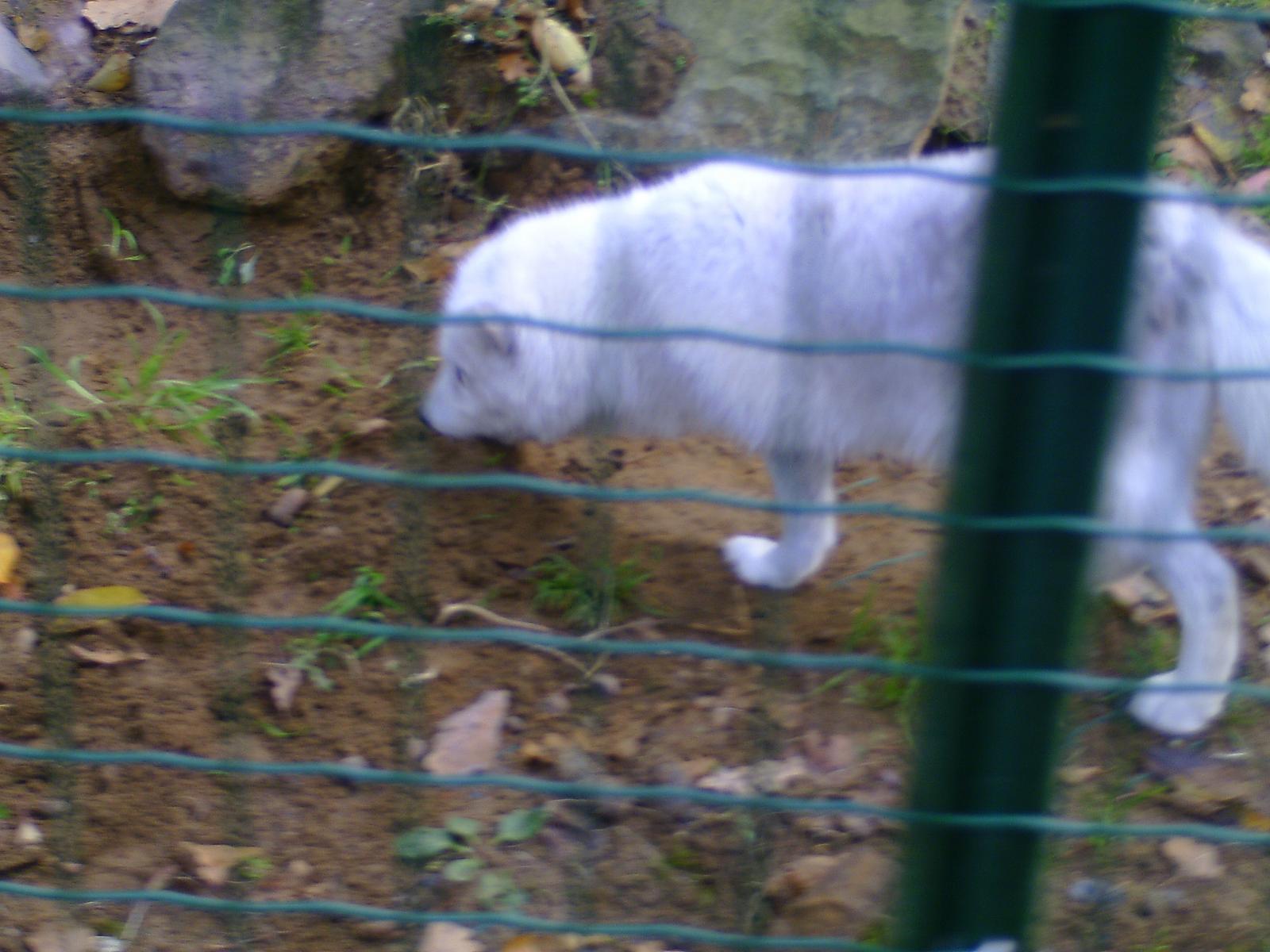 Frankenhof015.jpg