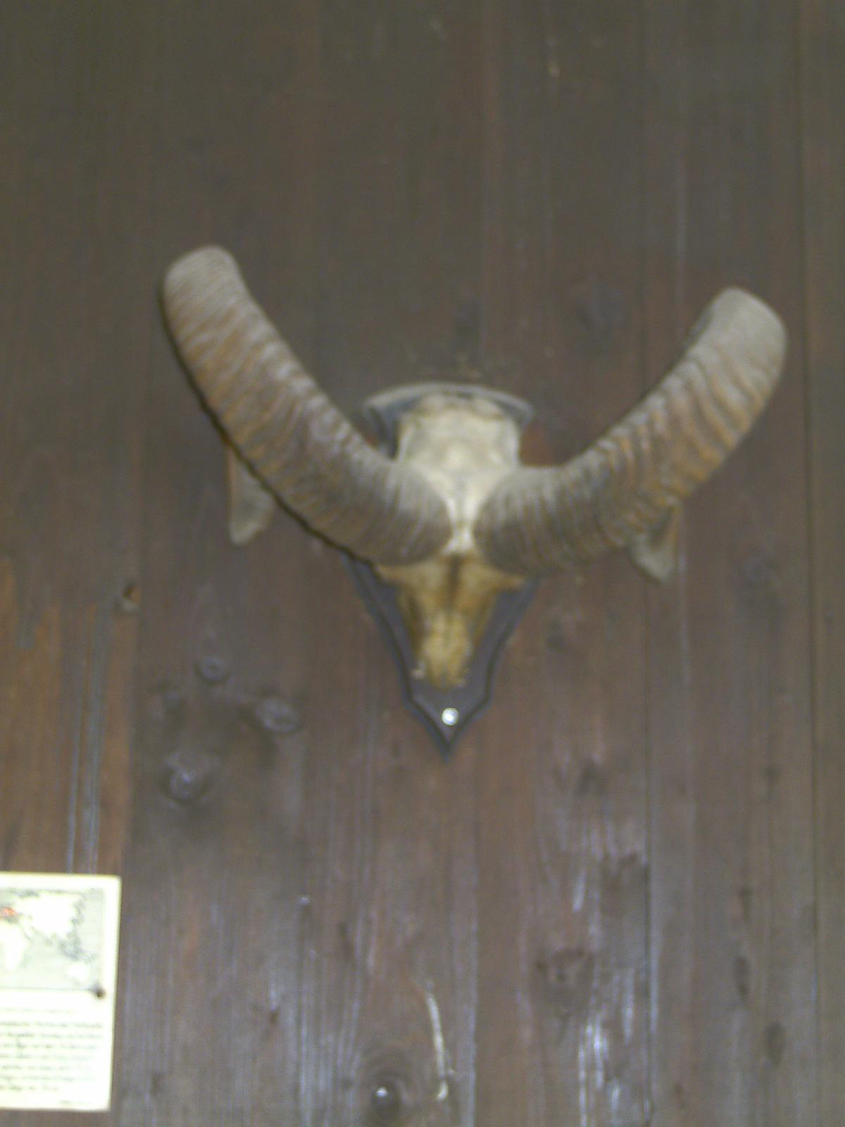 Frankenhof039.jpg