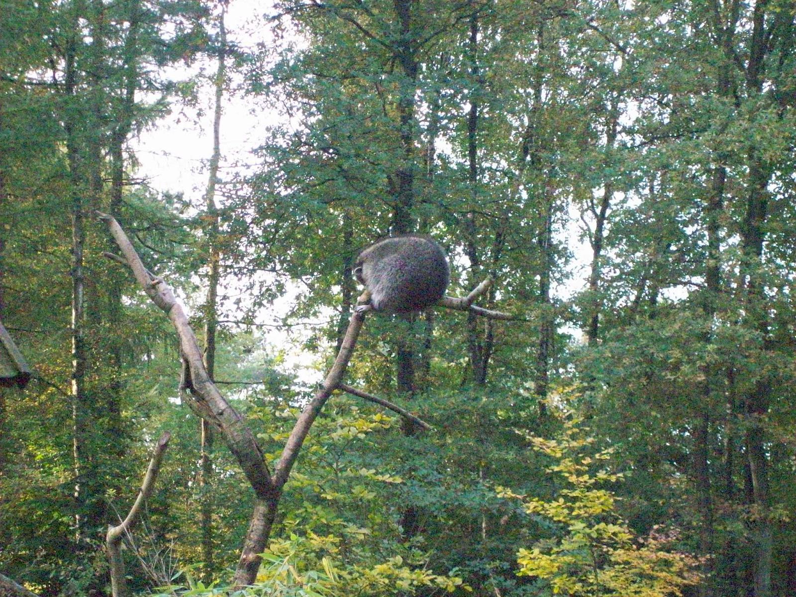 Frankenhof052.jpg
