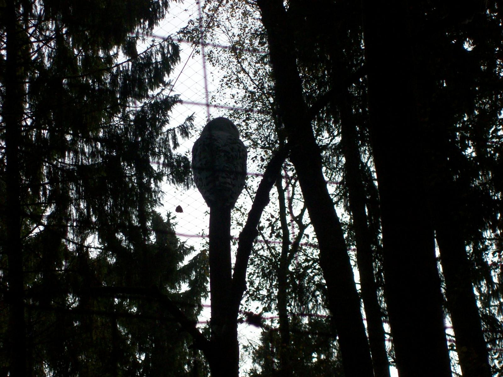 Frankenhof066.jpg