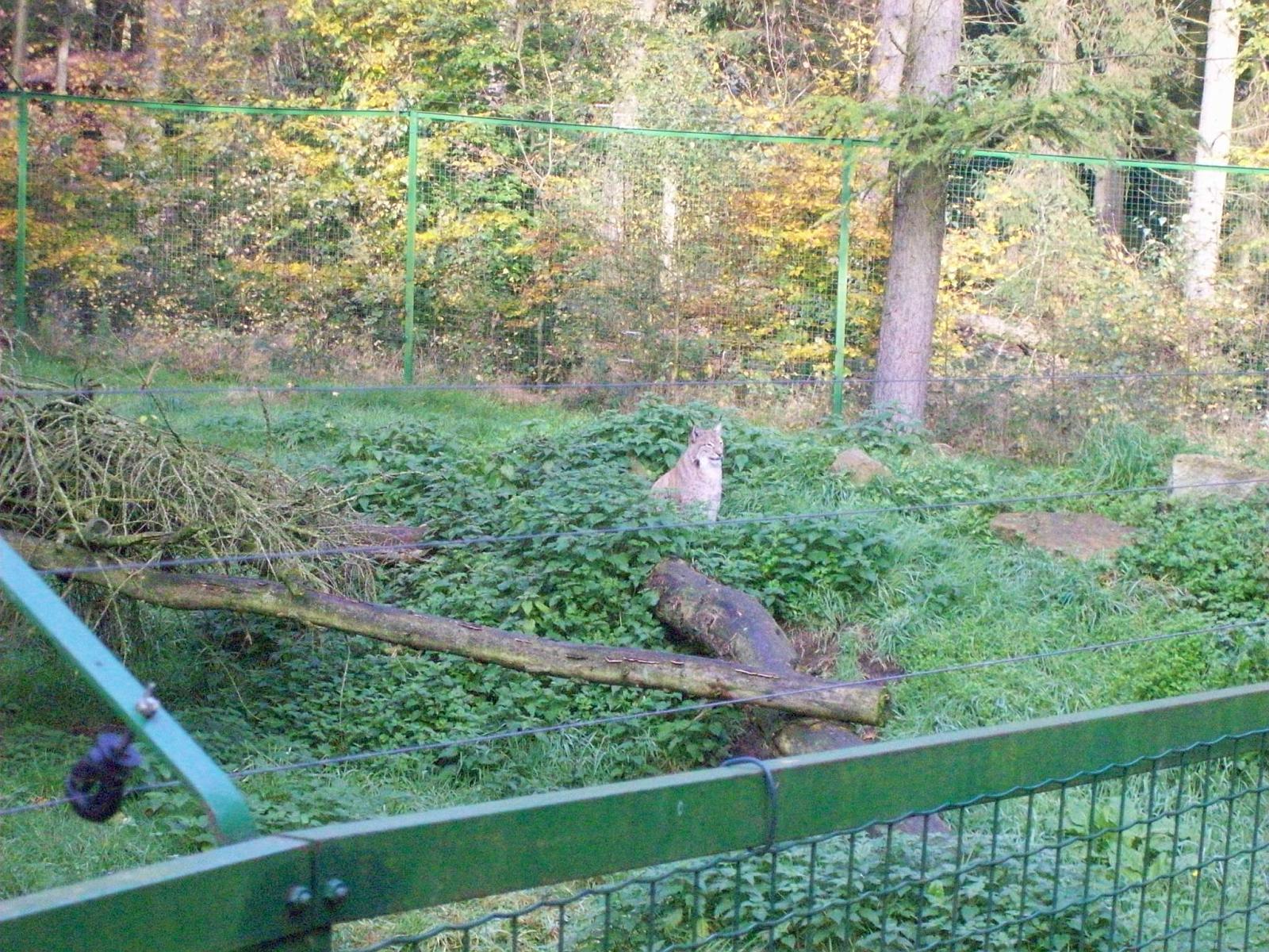 Frankenhof067.jpg