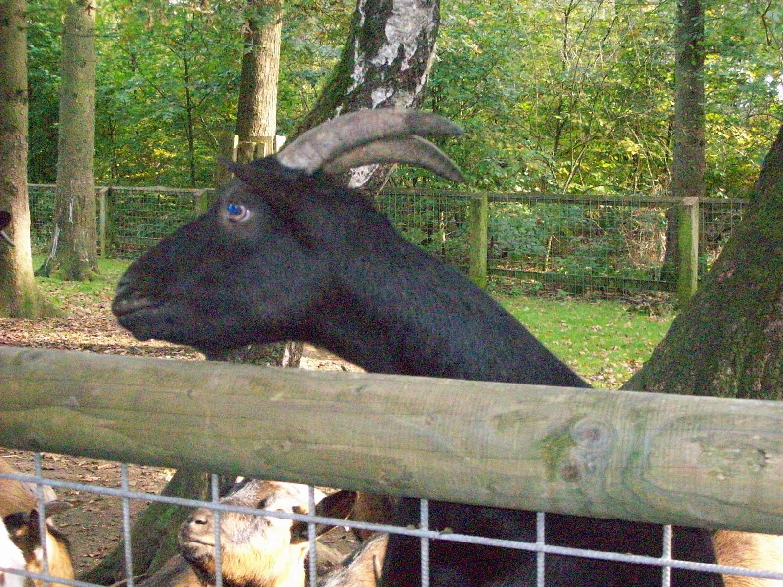 Frankenhof070.jpg