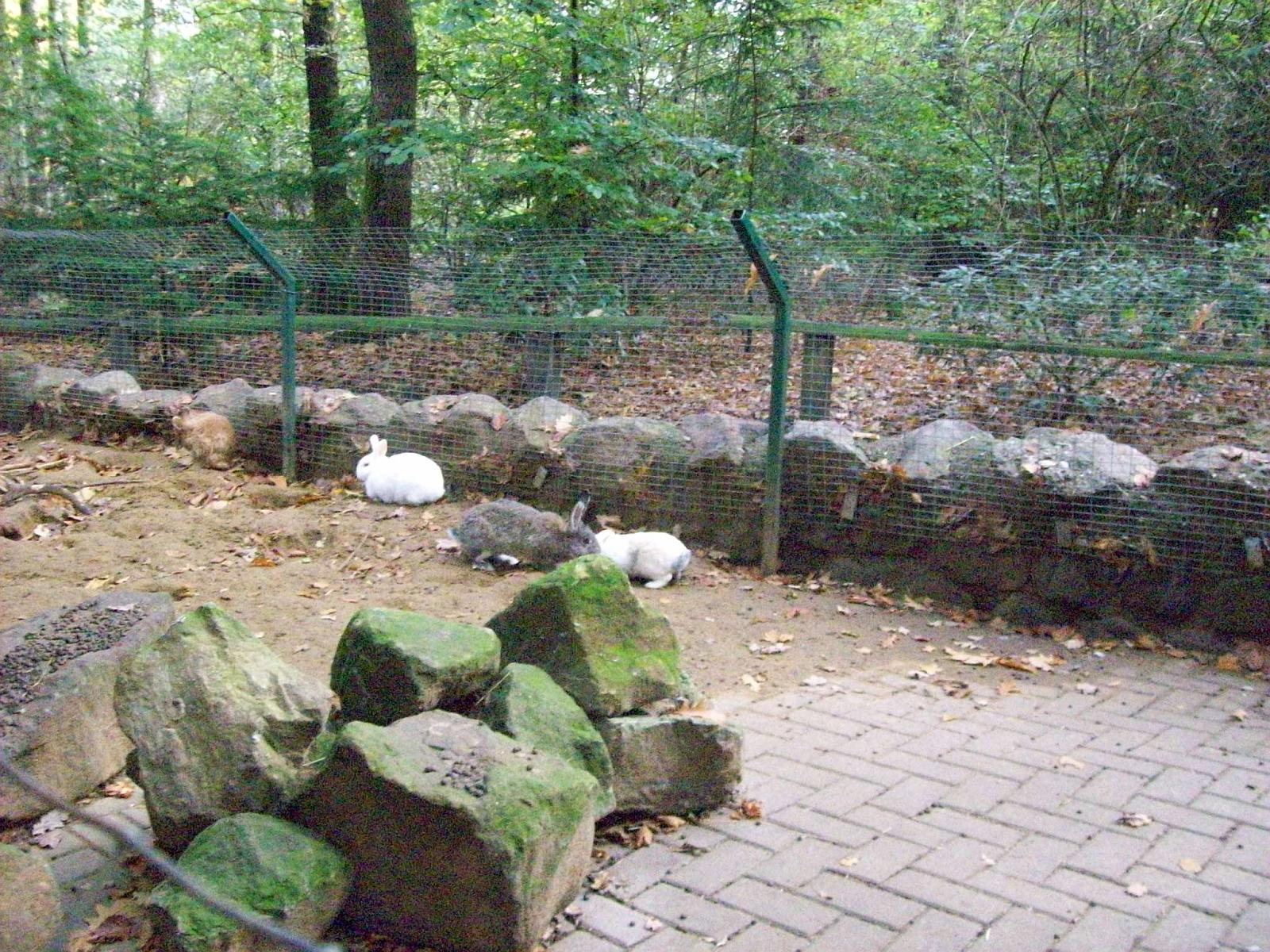Frankenhof090.jpg