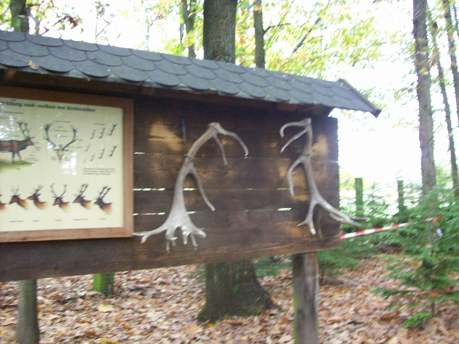 Frankenhof100.jpg