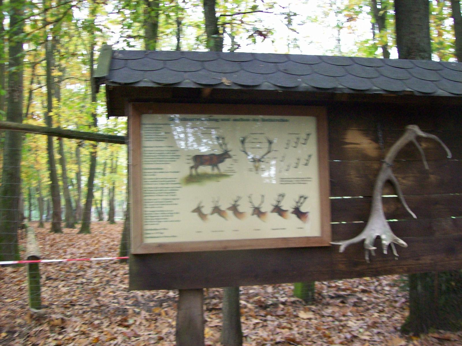 Frankenhof101.jpg