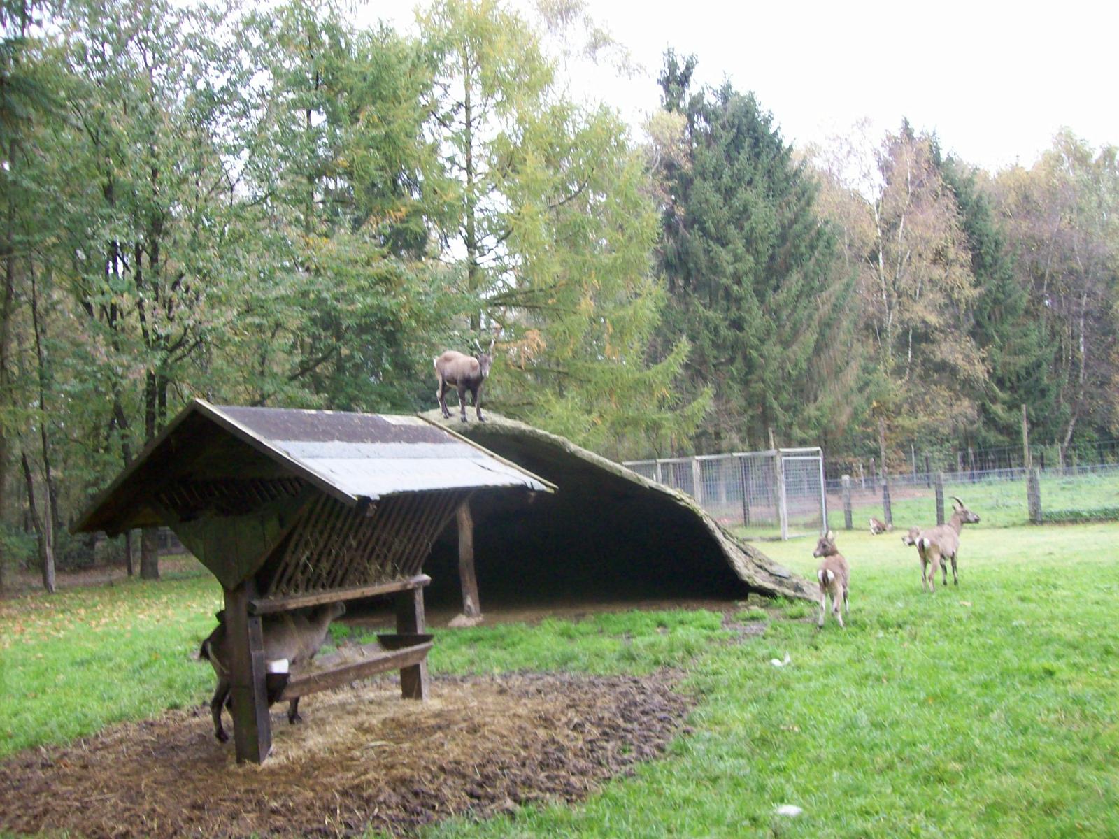 Frankenhof124.jpg