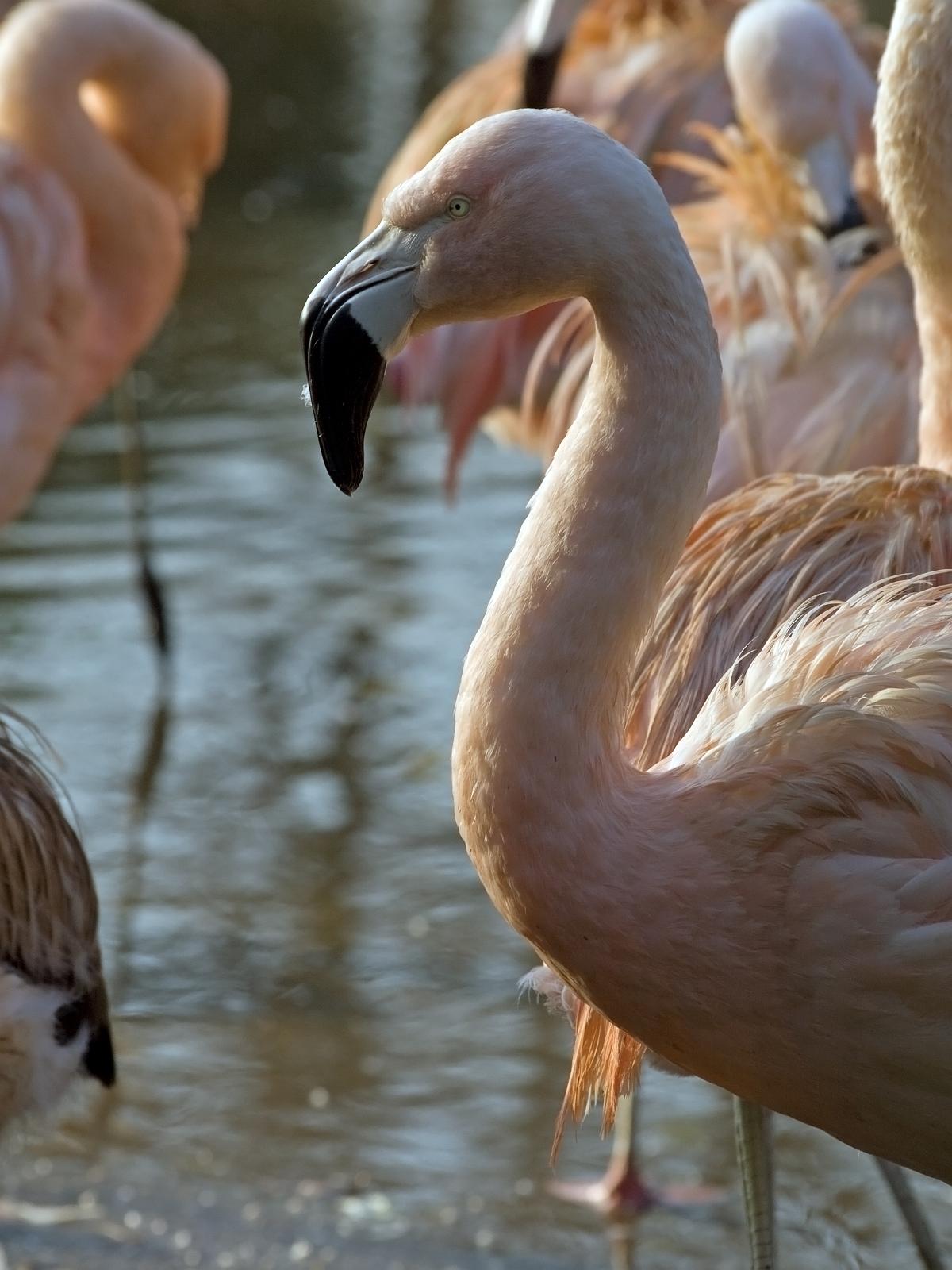 Tierpark_Rheine_01.jpg