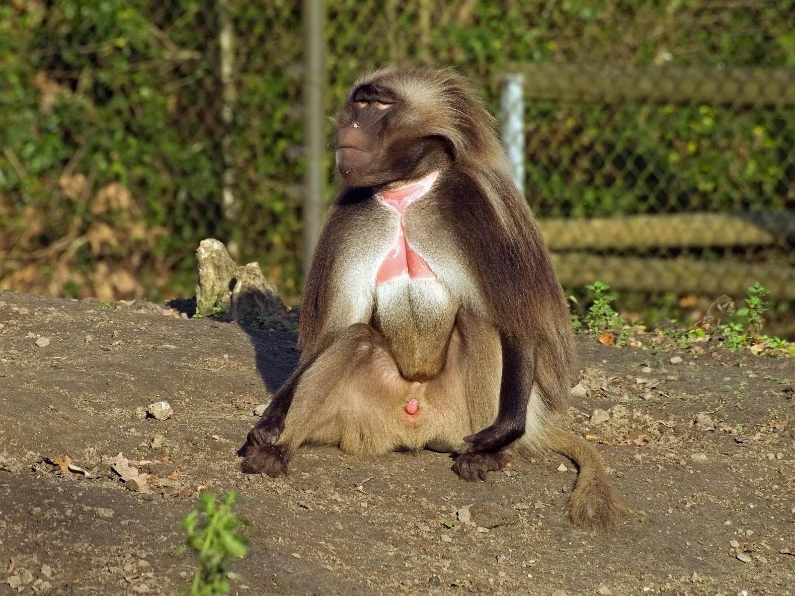 Tierpark_Rheine_05.jpg