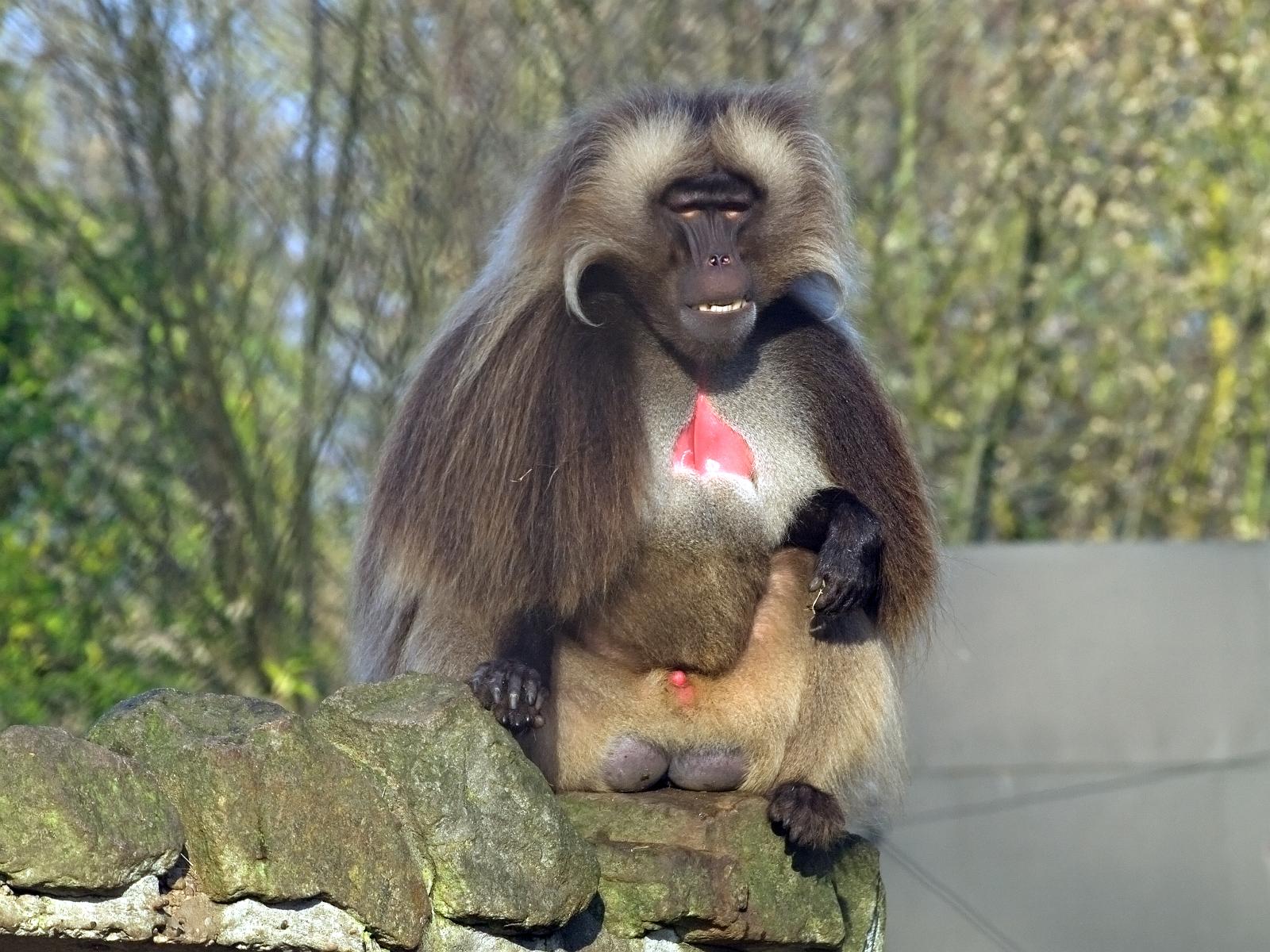 Tierpark_Rheine_06.jpg