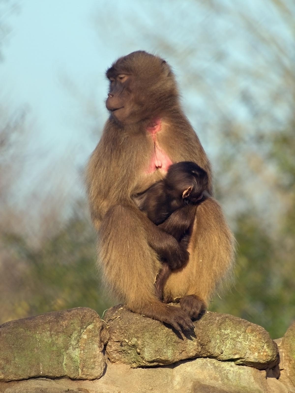 Tierpark_Rheine_07.jpg