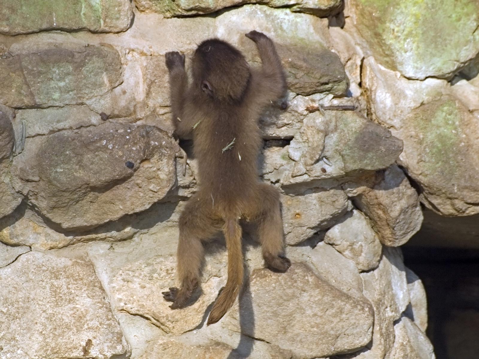 Tierpark_Rheine_08.jpg