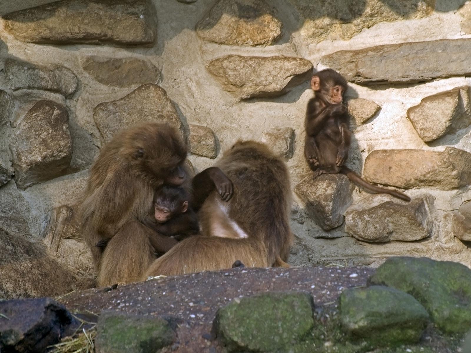 Tierpark_Rheine_09.jpg