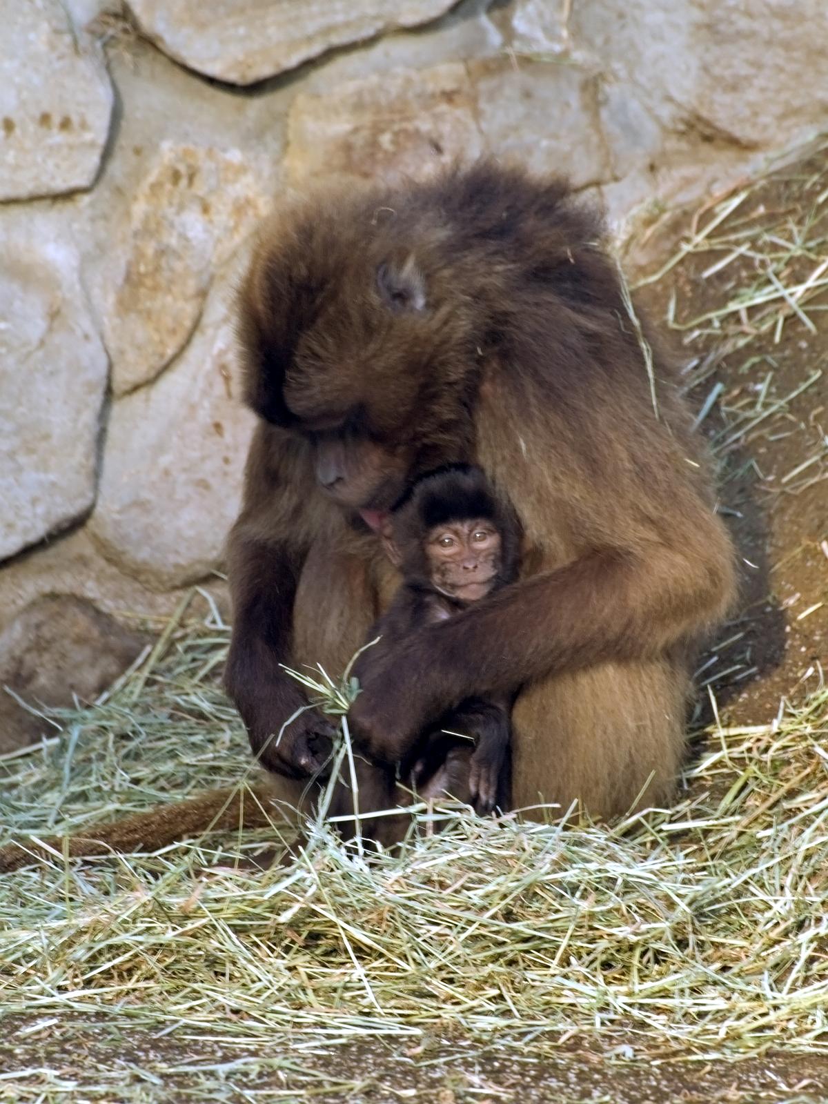 Tierpark_Rheine_11.jpg