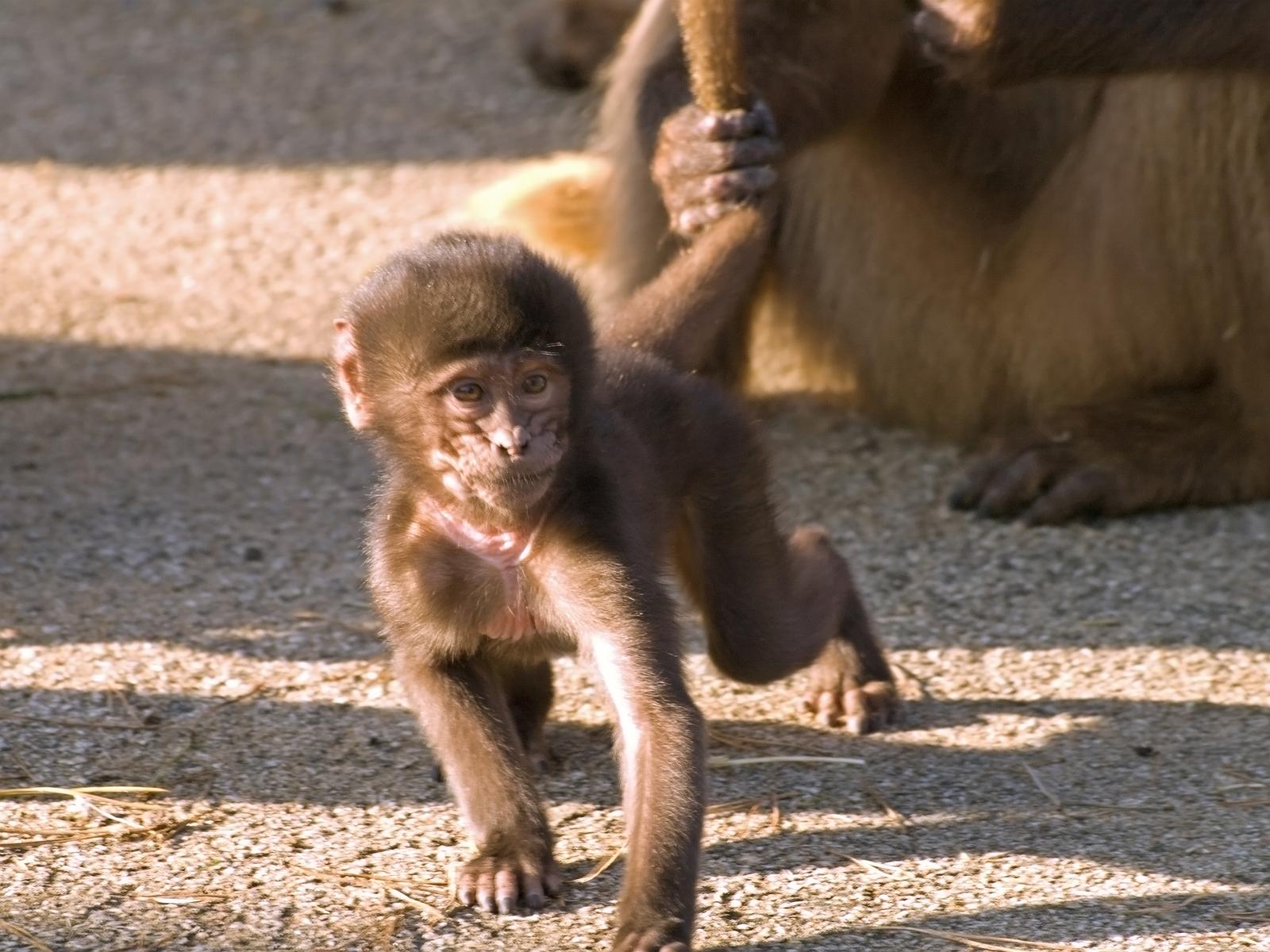 Tierpark_Rheine_13.jpg