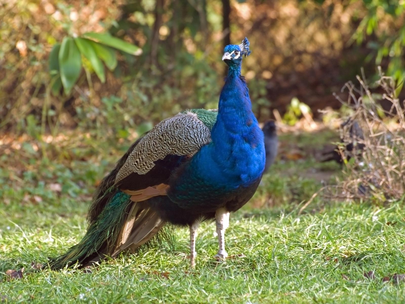 Tierpark_Rheine_18.jpg