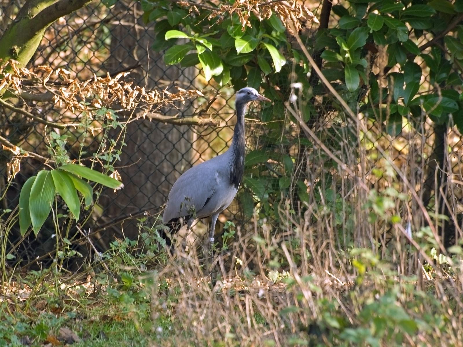 Tierpark_Rheine_19.jpg