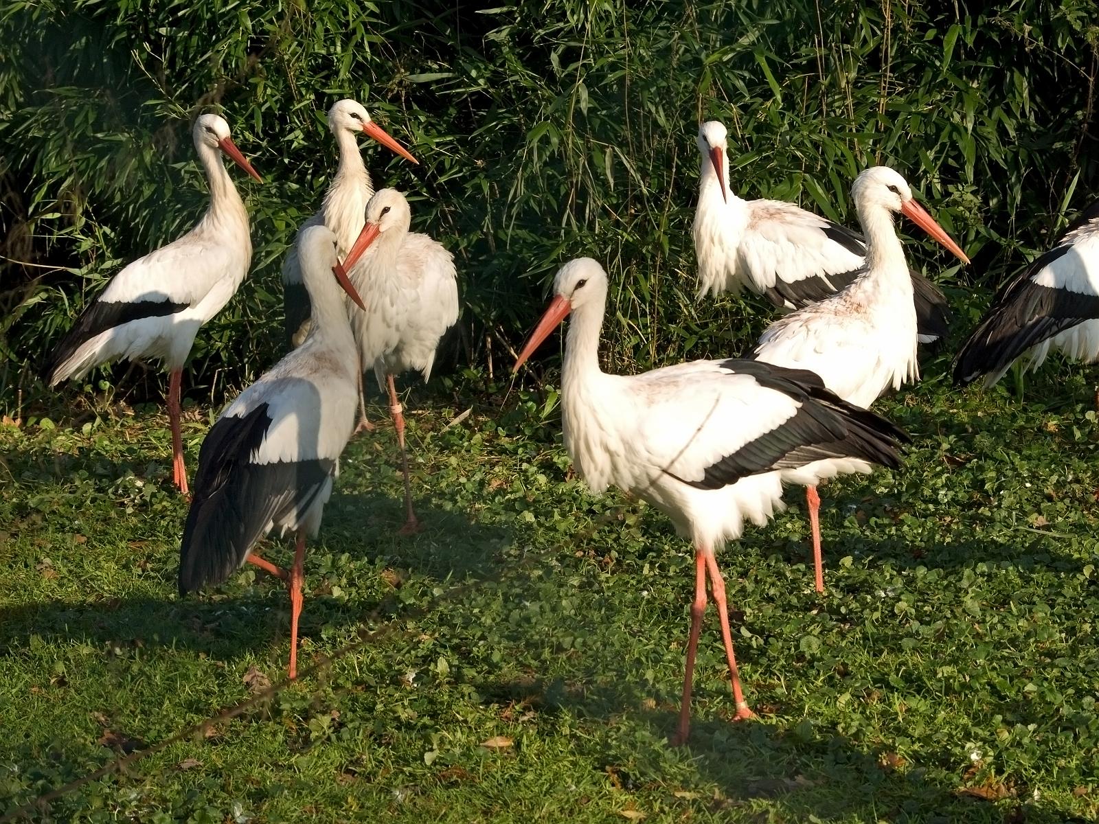 Tierpark_Rheine_20.jpg