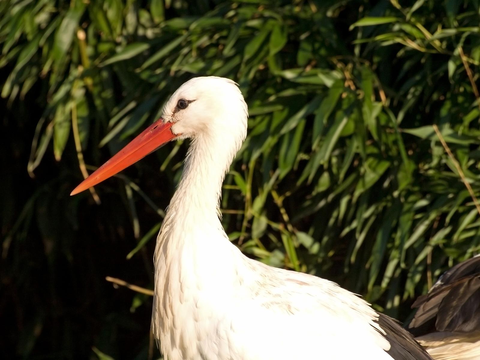 Tierpark_Rheine_21.jpg