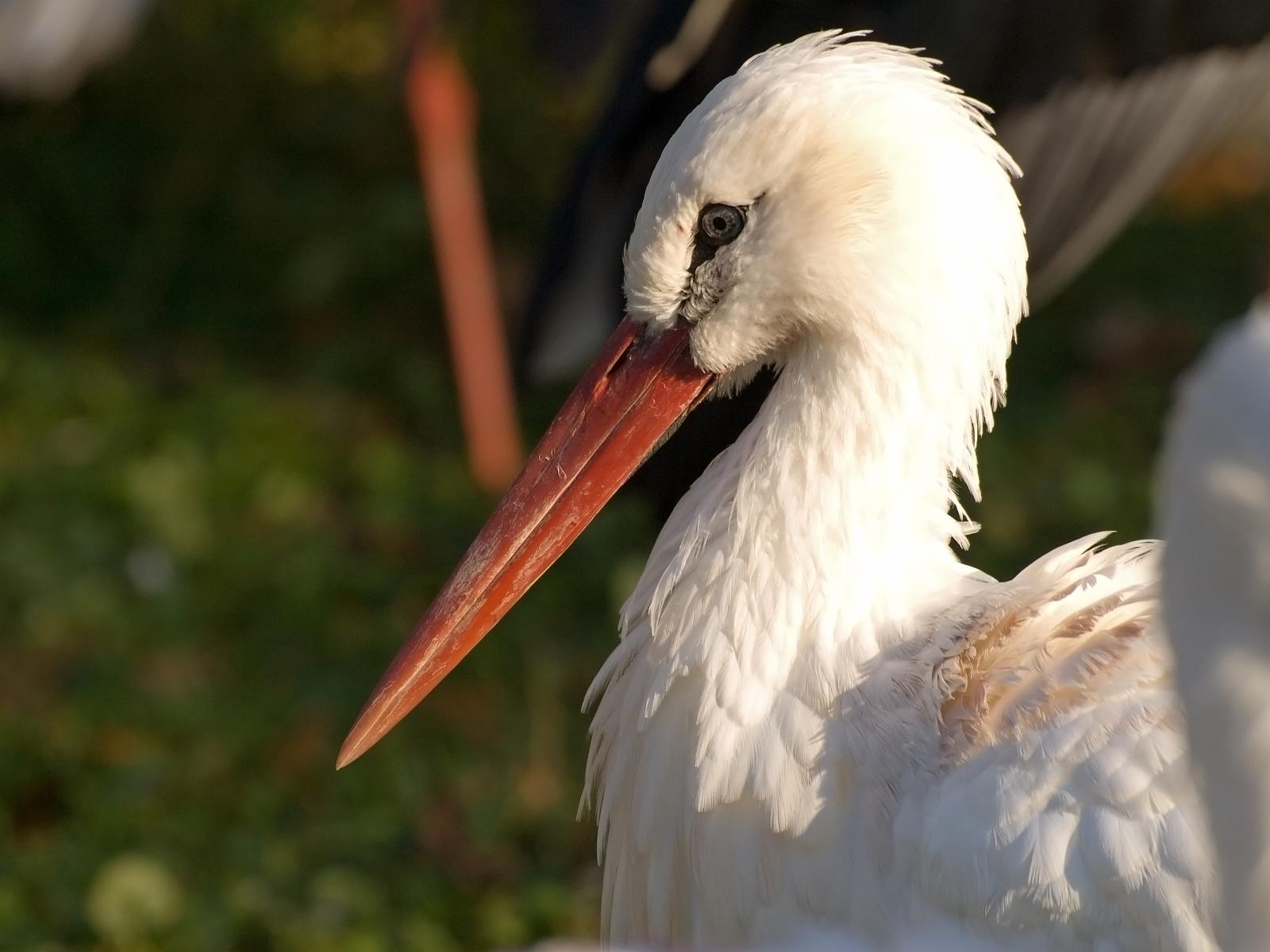 Tierpark_Rheine_22.jpg